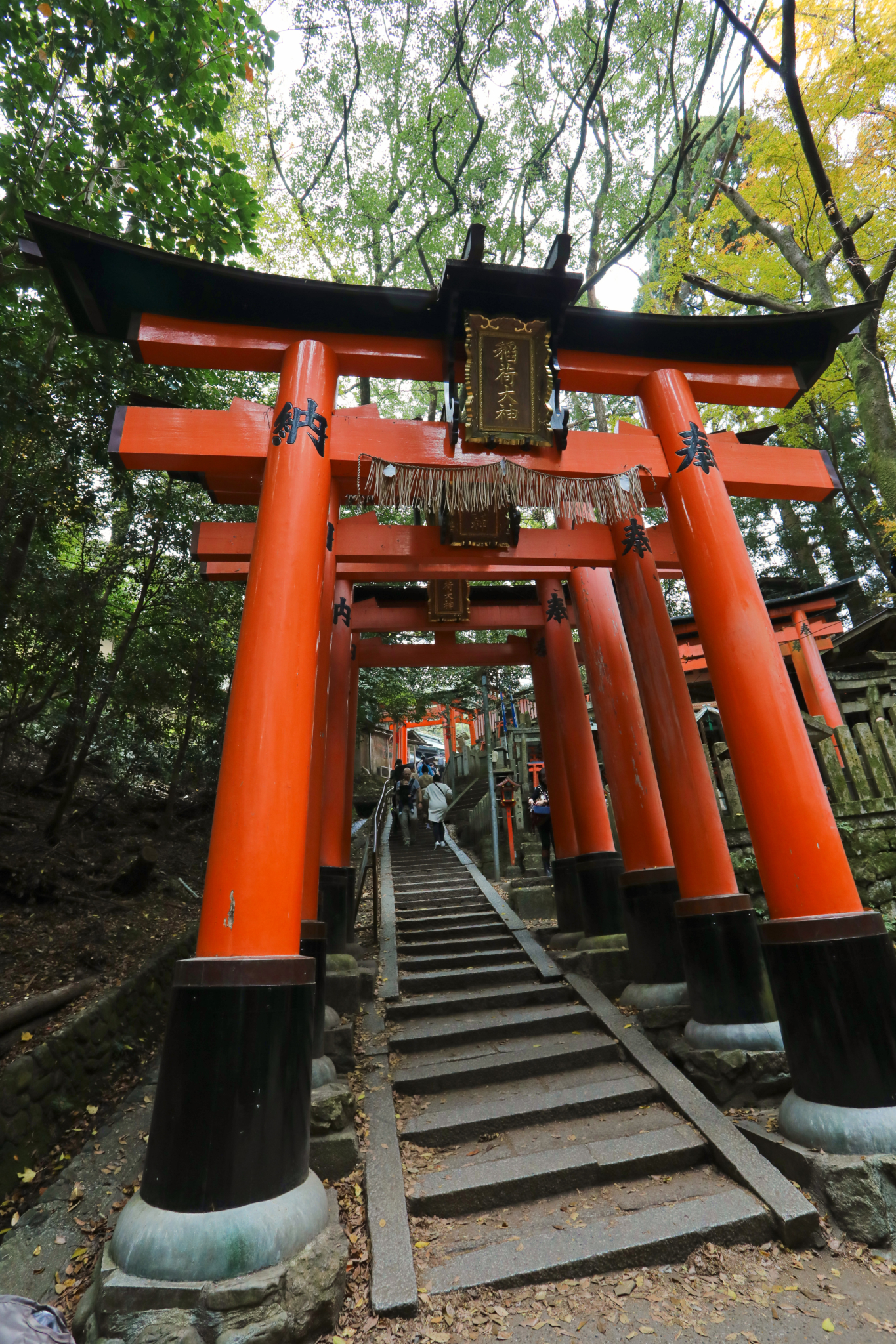 京都自助遊攻略