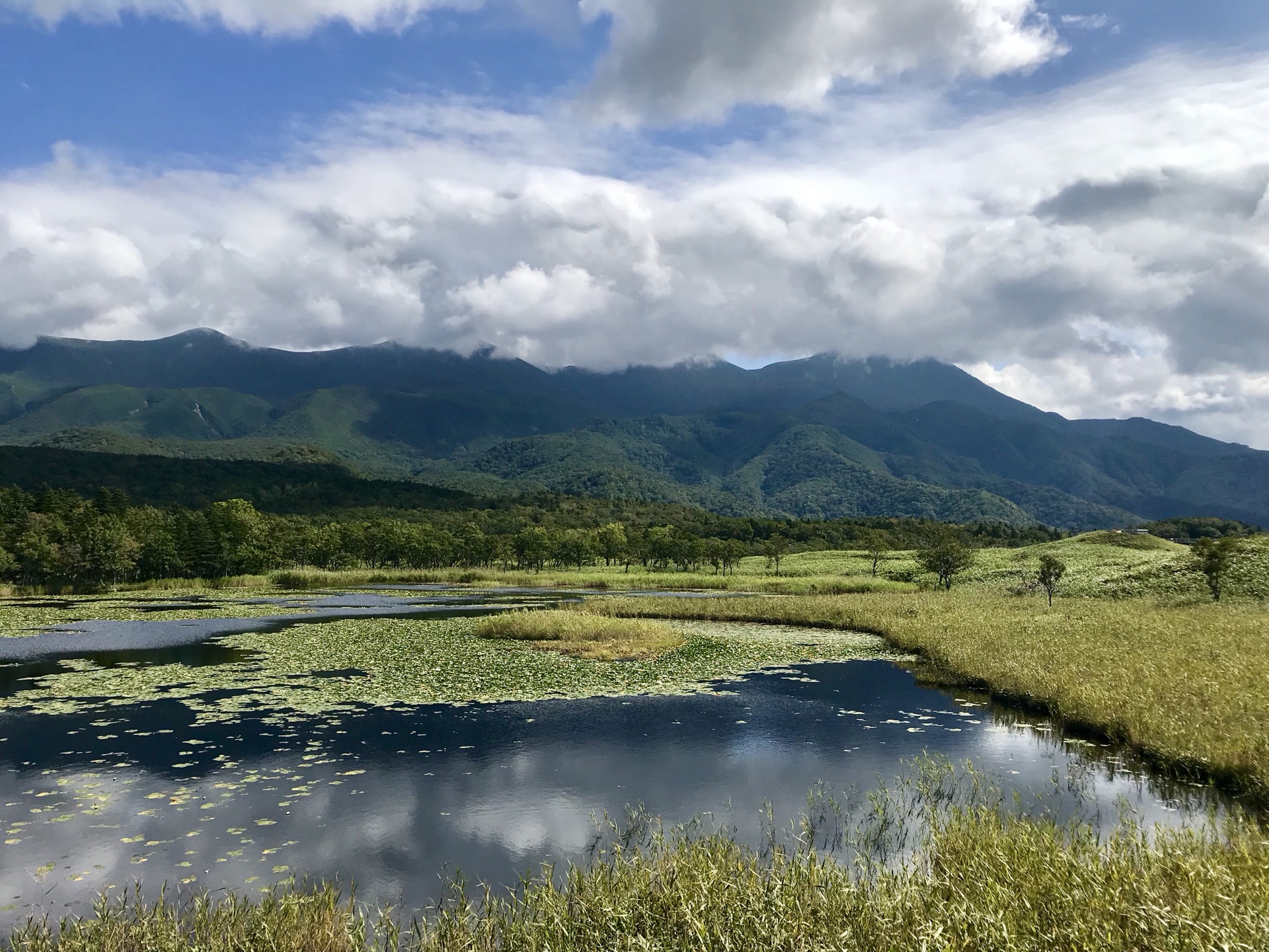 北海道自助遊攻略