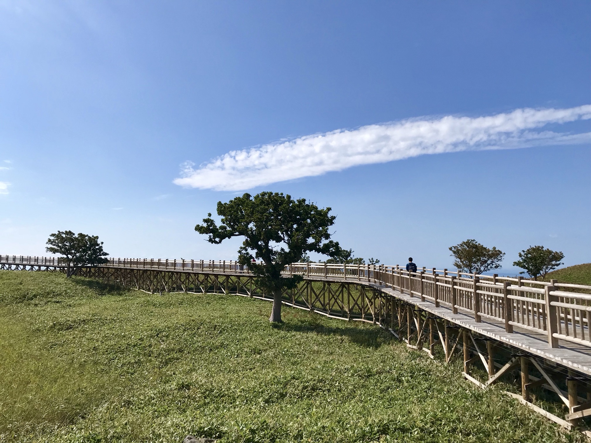 北海道自助遊攻略