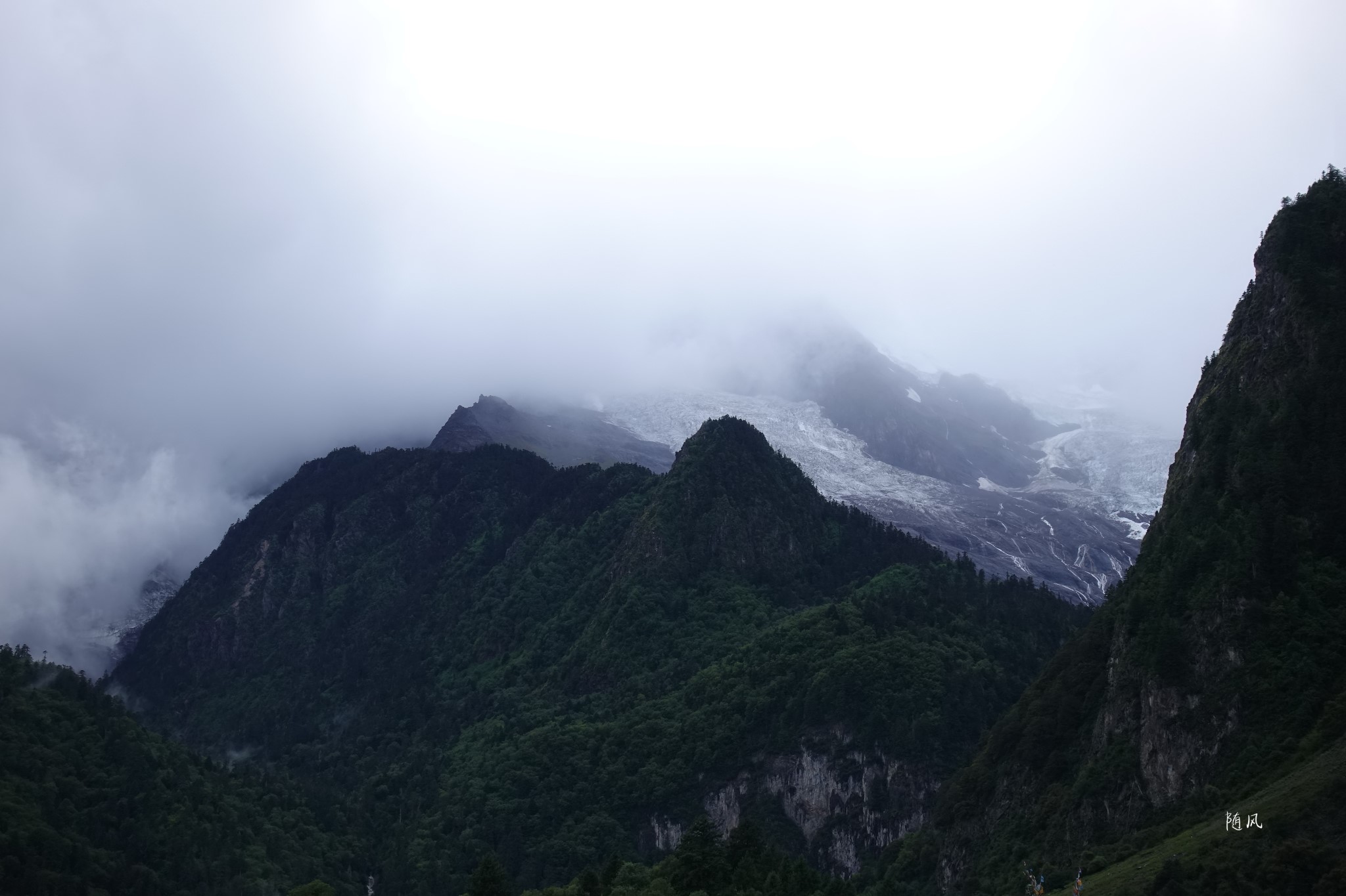 雨崩自助遊攻略