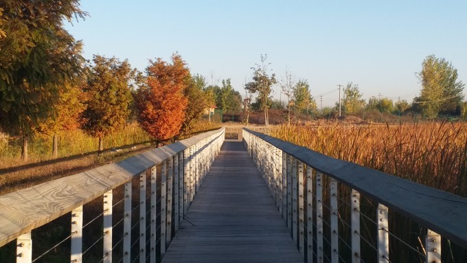 23北京78东石公园78游记_华东旅游