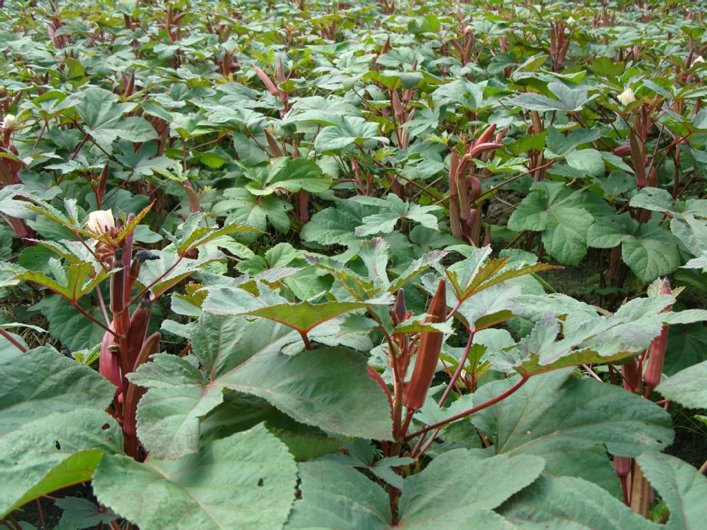 wKgED1u-C9SAPjD7AAQ7TSC9lhs55.jpeg?imageView2%2F2%2Fw%2F680%2Fq%2F90%7CimageMogr2%2Fstrip%2Fquality%2F90