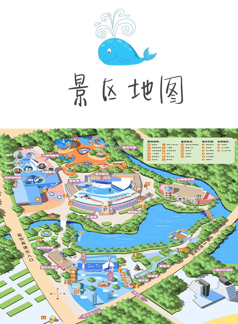 小梅沙海洋世界 大小梅沙 海洋馆 海洋动物表演 快乐一日游(亲子家庭