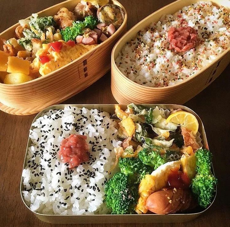 她很擅长制作各种  和式便当以及家常料理  ;而且便当内的  料理种类