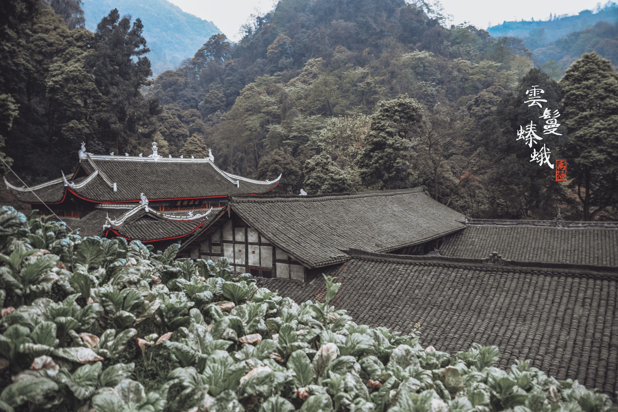 峨眉山自助遊攻略