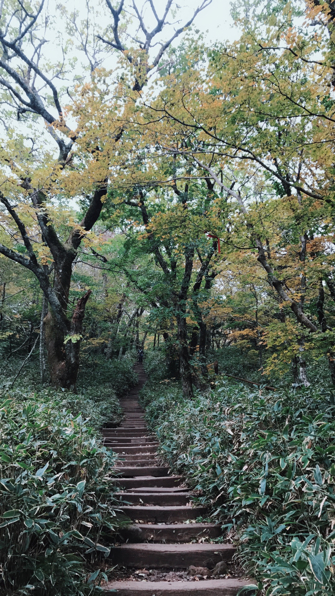 濟州島自助遊攻略