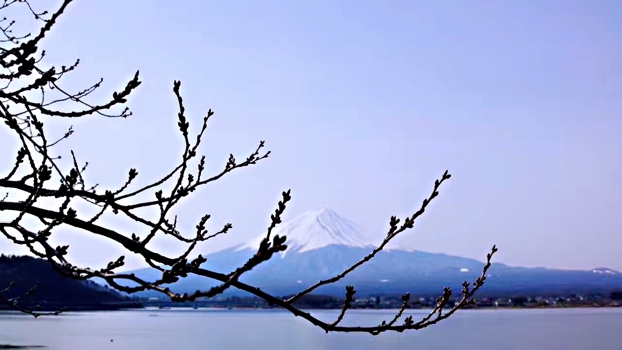 富士山自助遊攻略