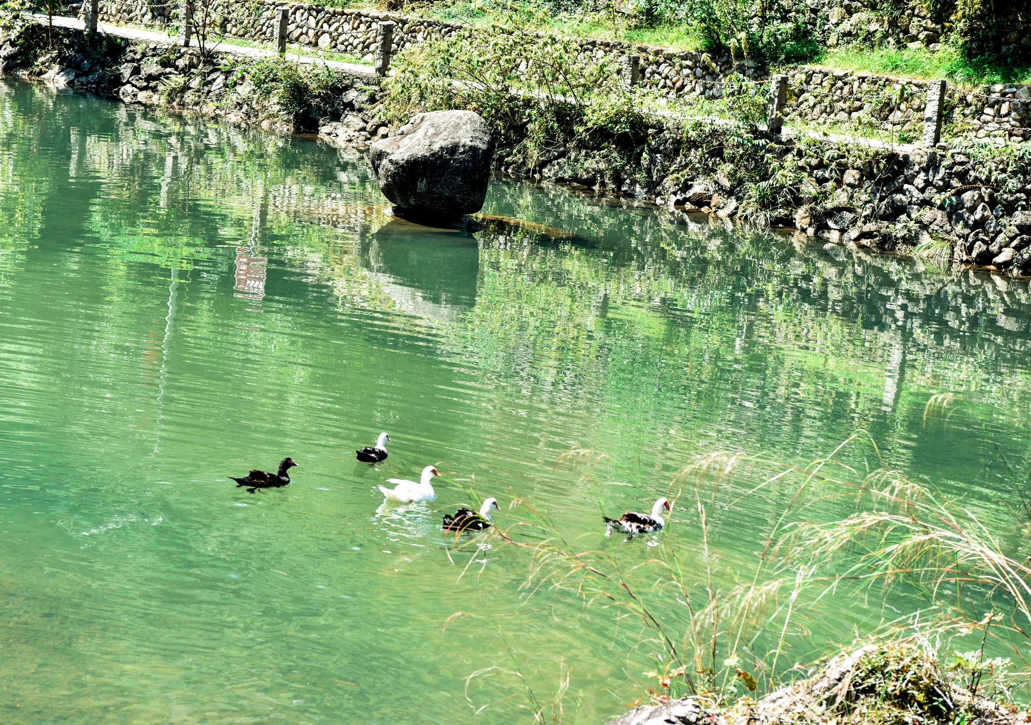 永嘉自助遊攻略