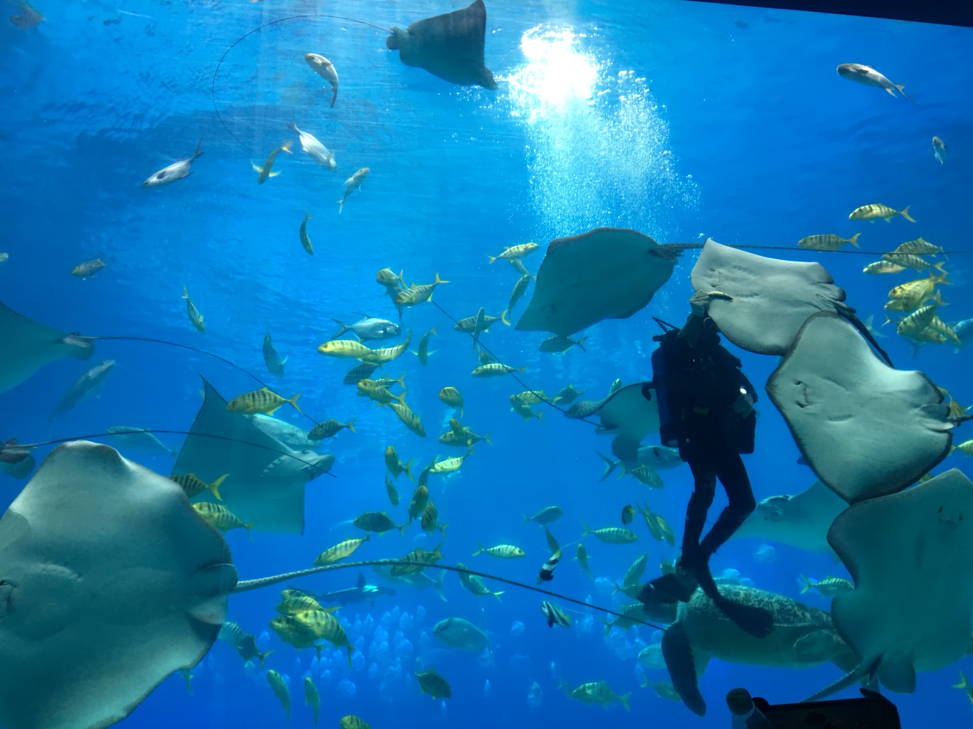 wKgED1vMP-CAe2V6AAbEbaXjW3804.jpeg?imageView2%2F2%2Fw%2F680%2Fq%2F90%7CimageMogr2%2Fstrip%2Fquality%2F90