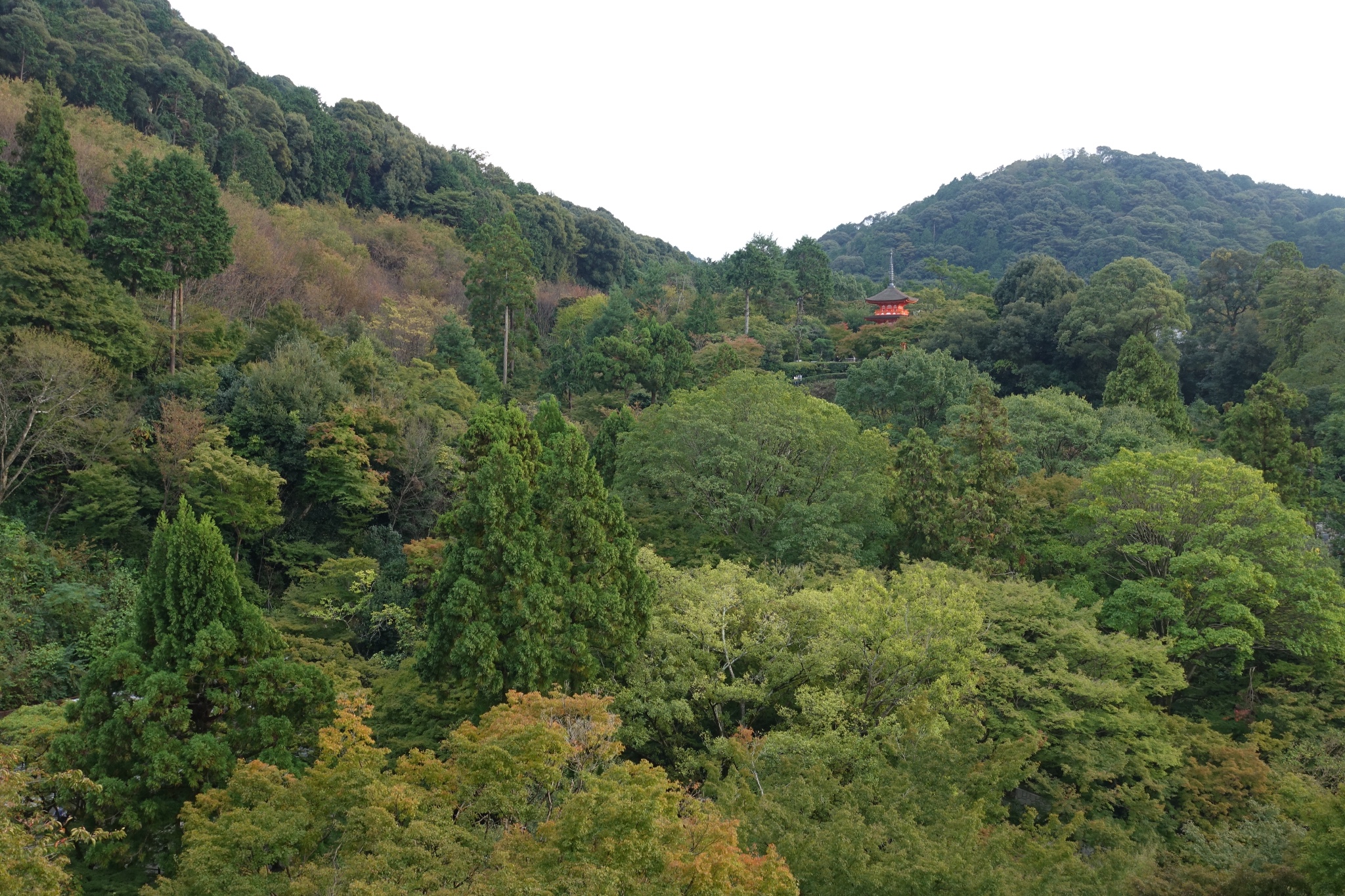 日本自助遊攻略