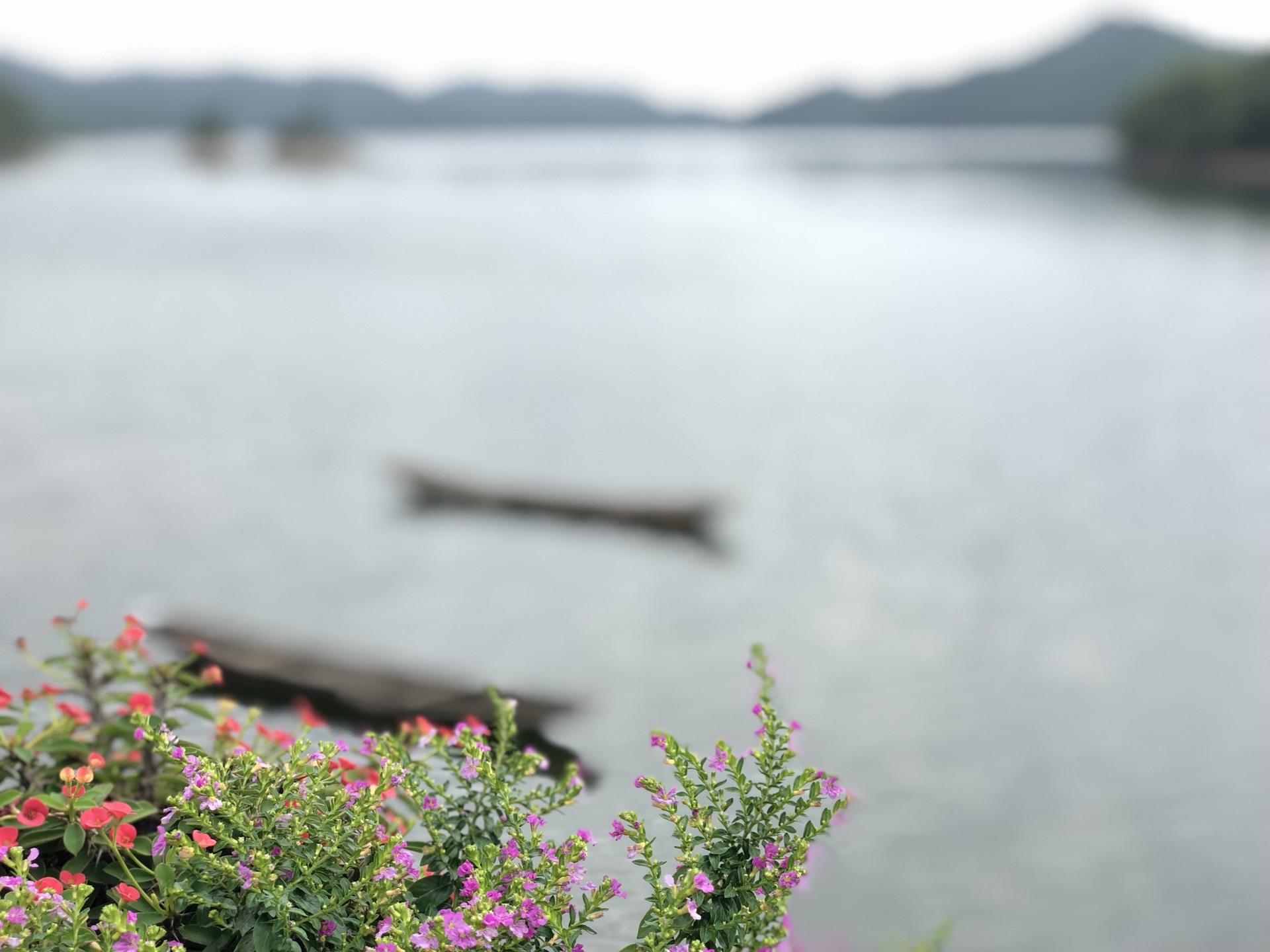 wKgED1unnPCAQ5wkAAVCfJ1FxYw68.jpeg?imageView2%2F2%2Fw%2F680%2Fq%2F90%7CimageMogr2%2Fstrip%2Fquality%2F90