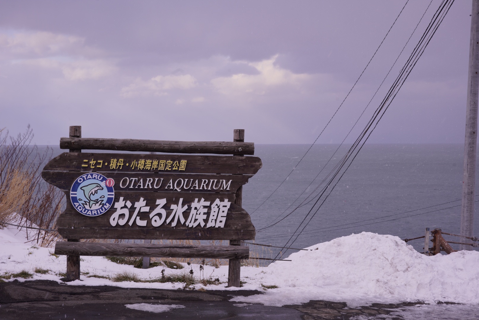 北海道自助遊攻略