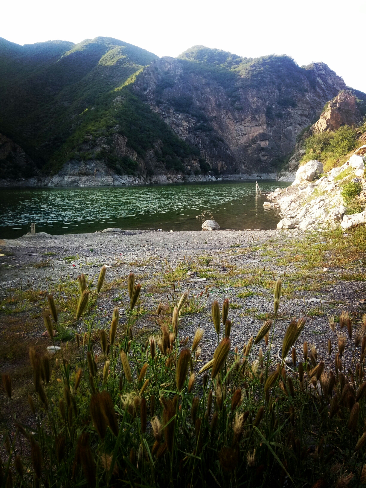 回复游记:2018-9-4河北怀来水口山林场
