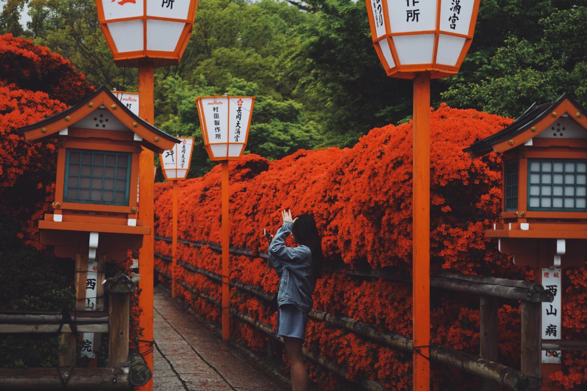 京都自助遊攻略