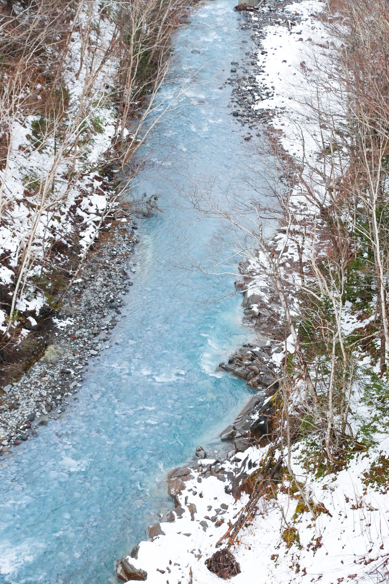 北海道自助遊攻略