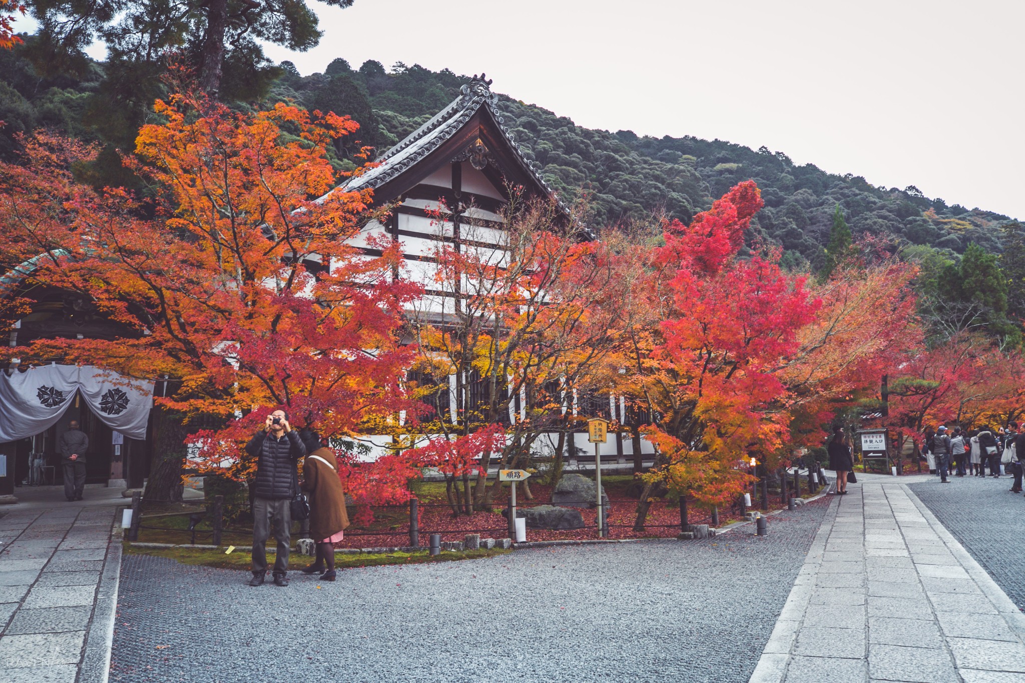 京都自助遊攻略