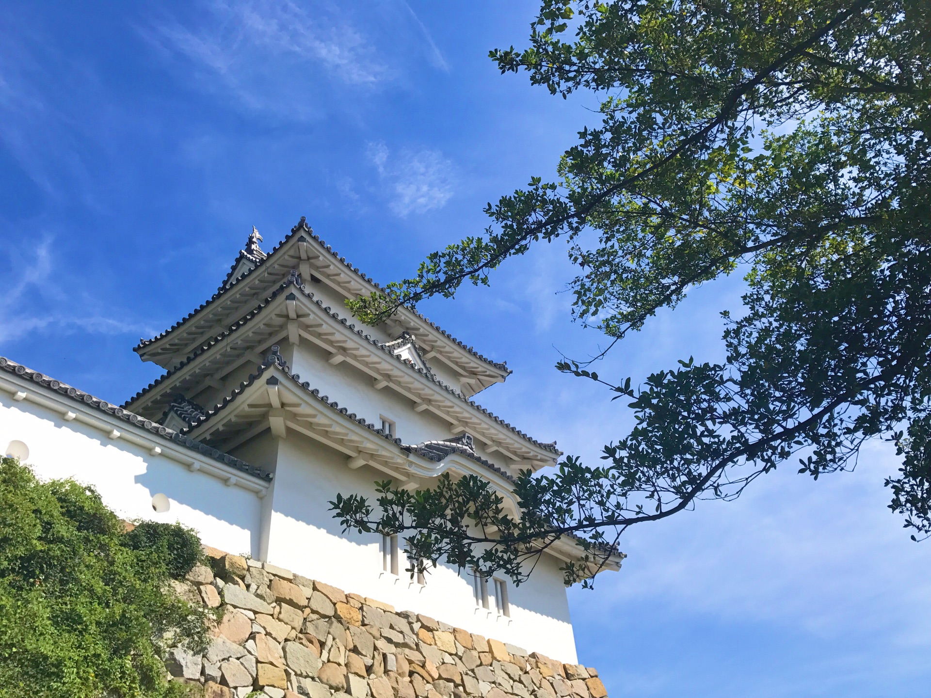 体验一下明石的魅力～绝对值得一去再去的兵库县图片38,明石市旅游