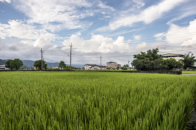 稻香宜兰