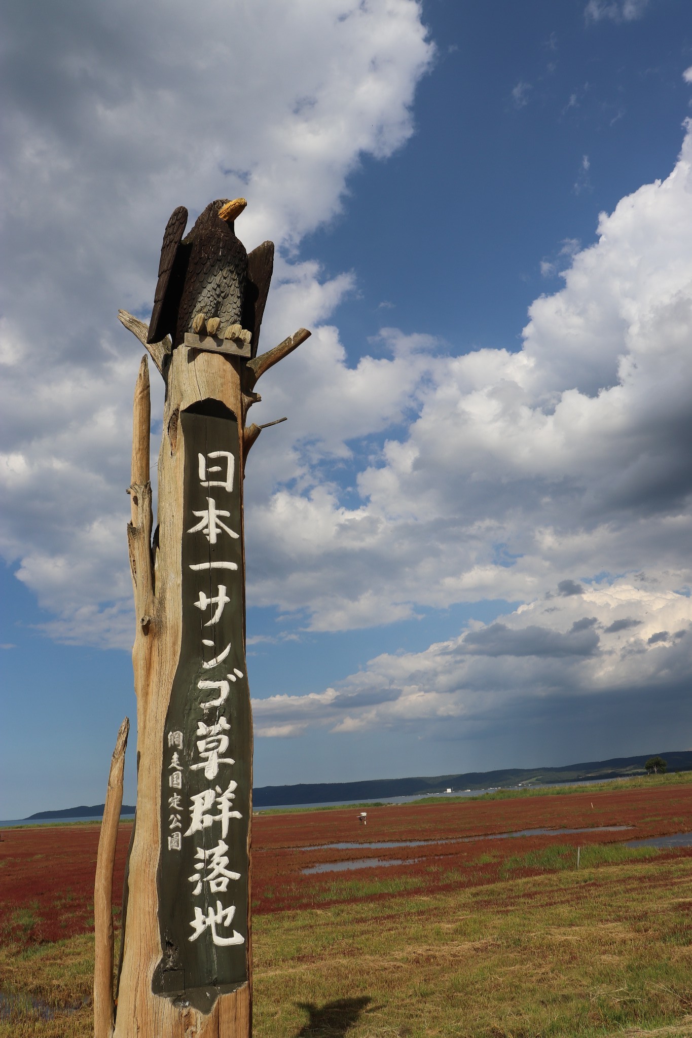 北海道自助遊攻略