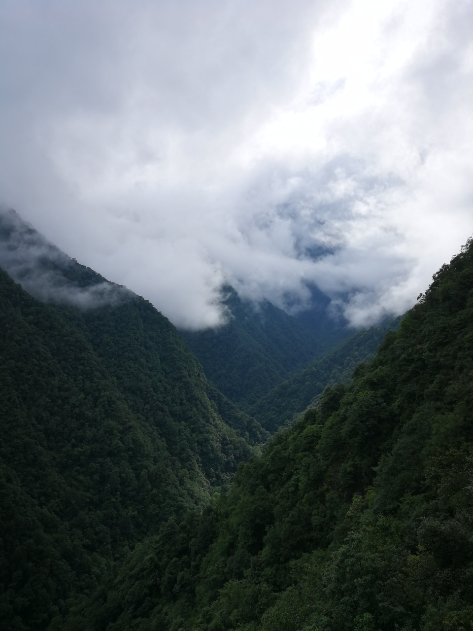 梵凈山自助遊攻略