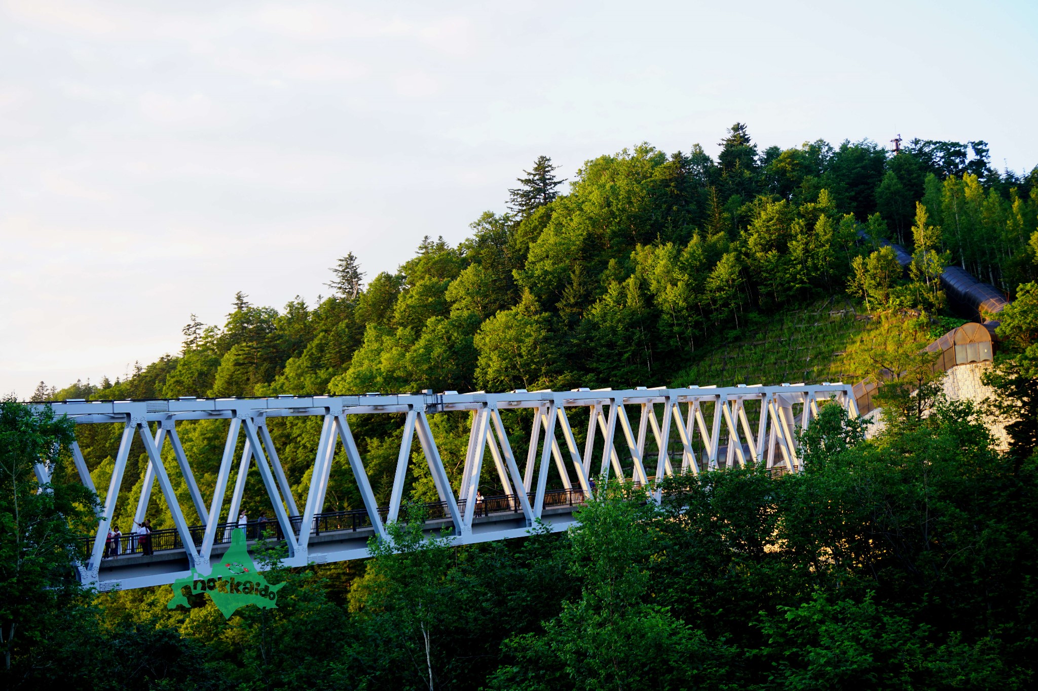 北海道自助遊攻略