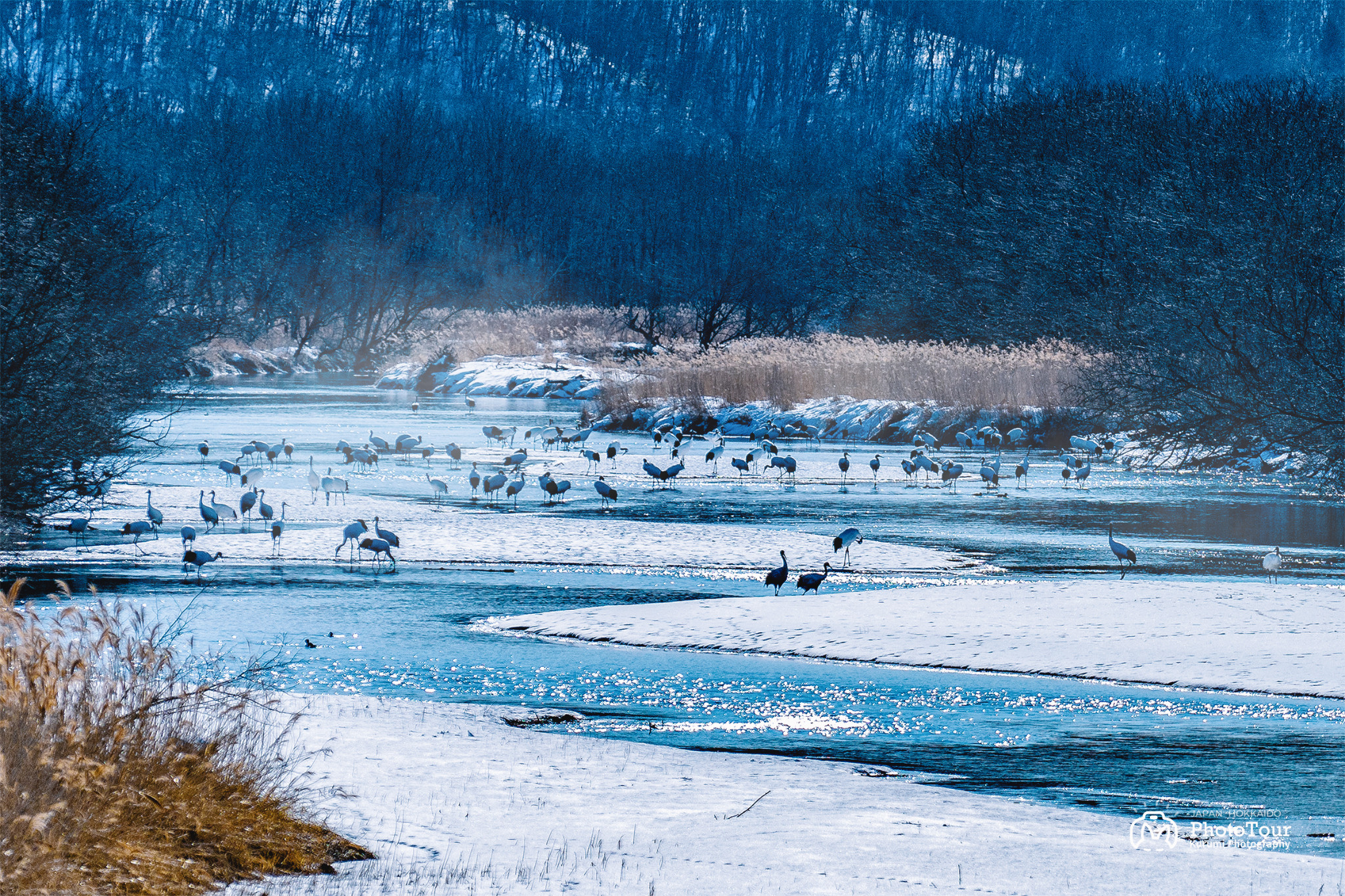 北海道自助遊攻略