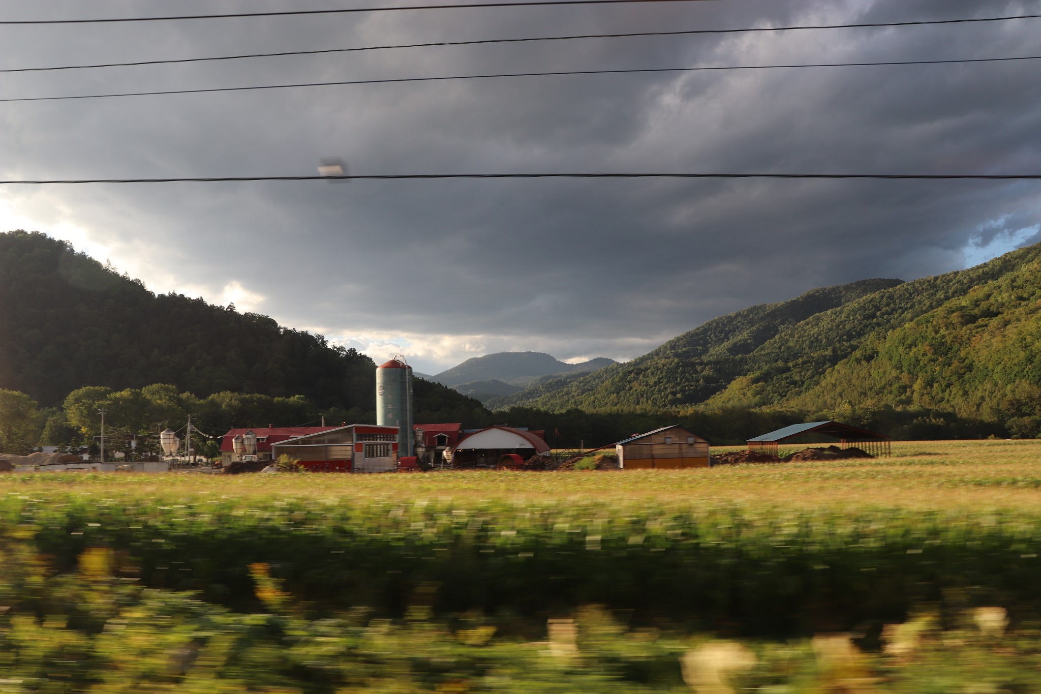 北海道自助遊攻略