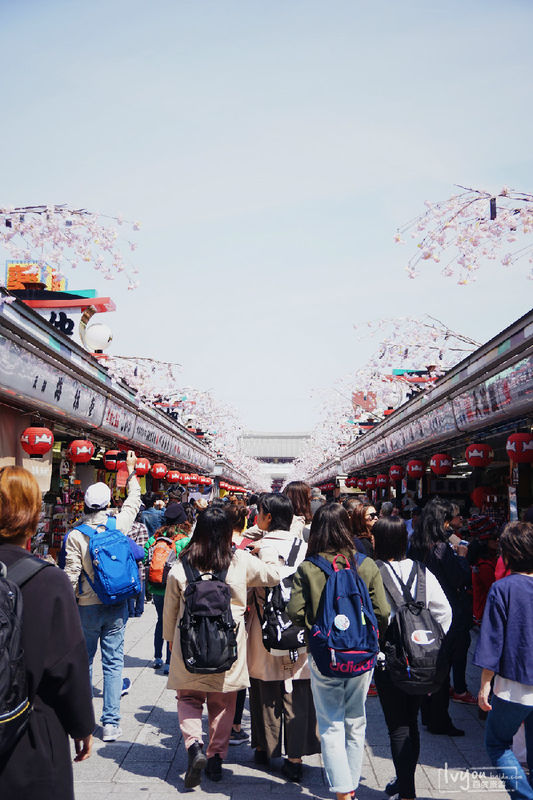 東京自助遊攻略