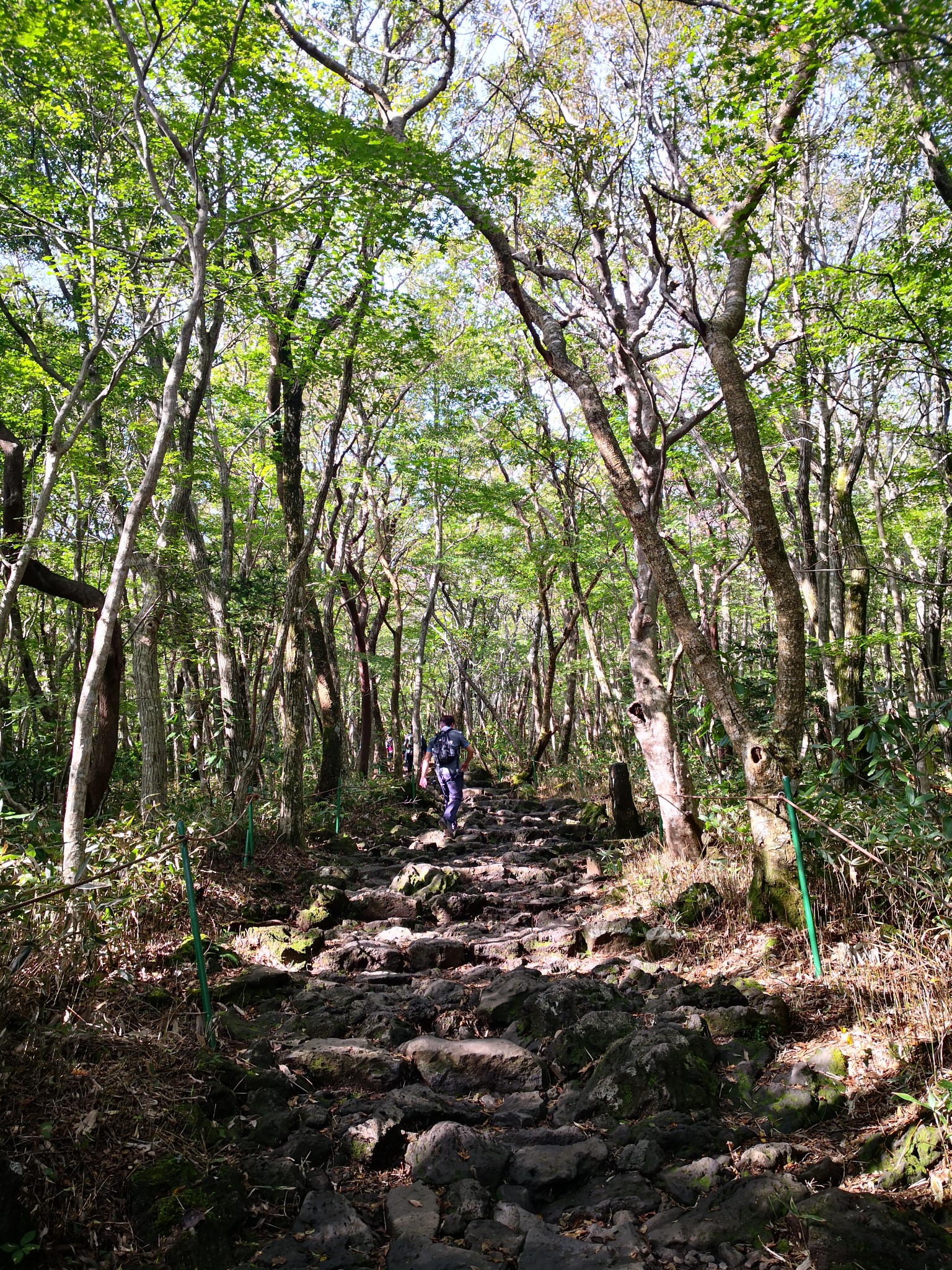 濟州島自助遊攻略