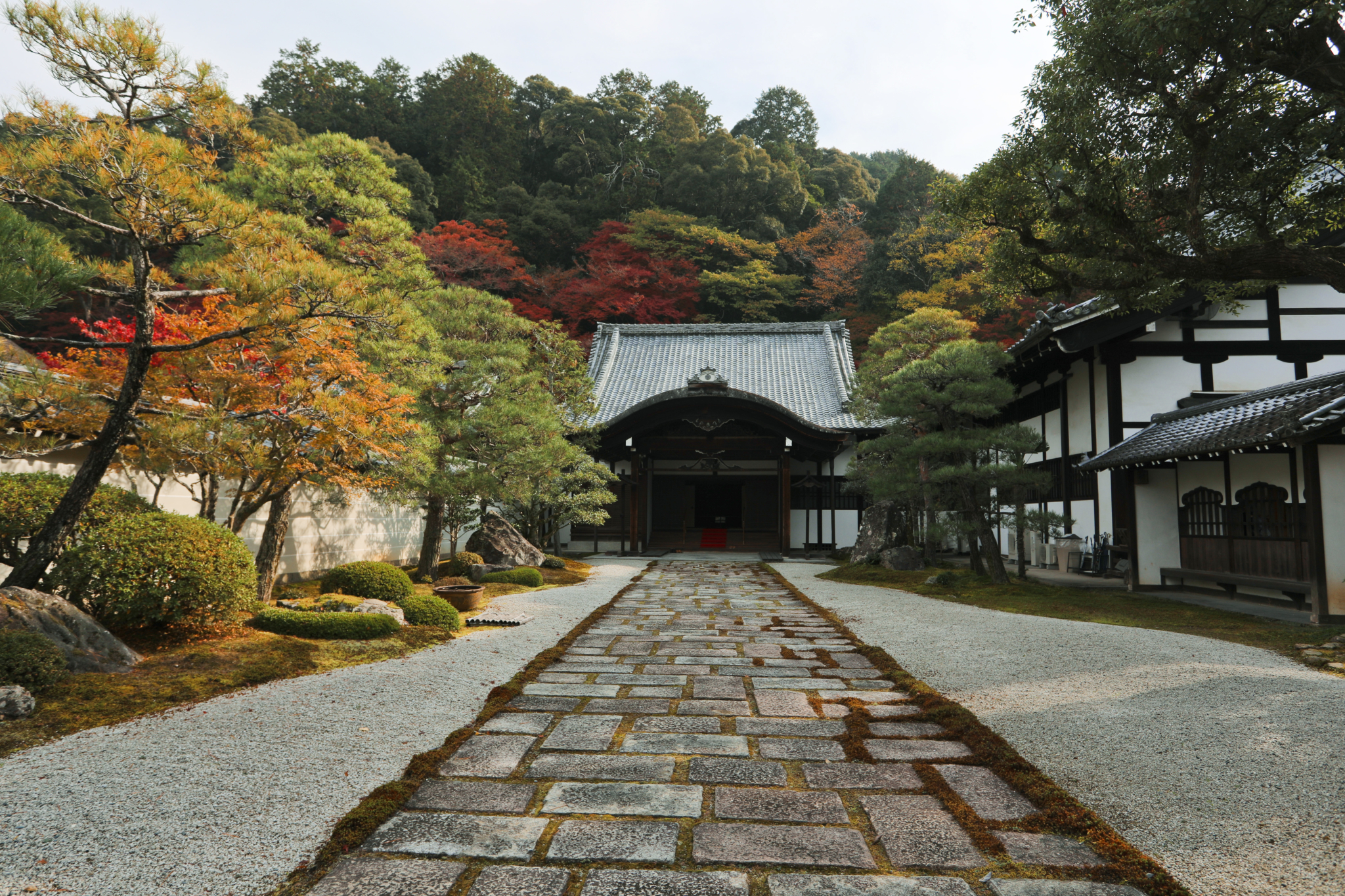 京都自助遊攻略