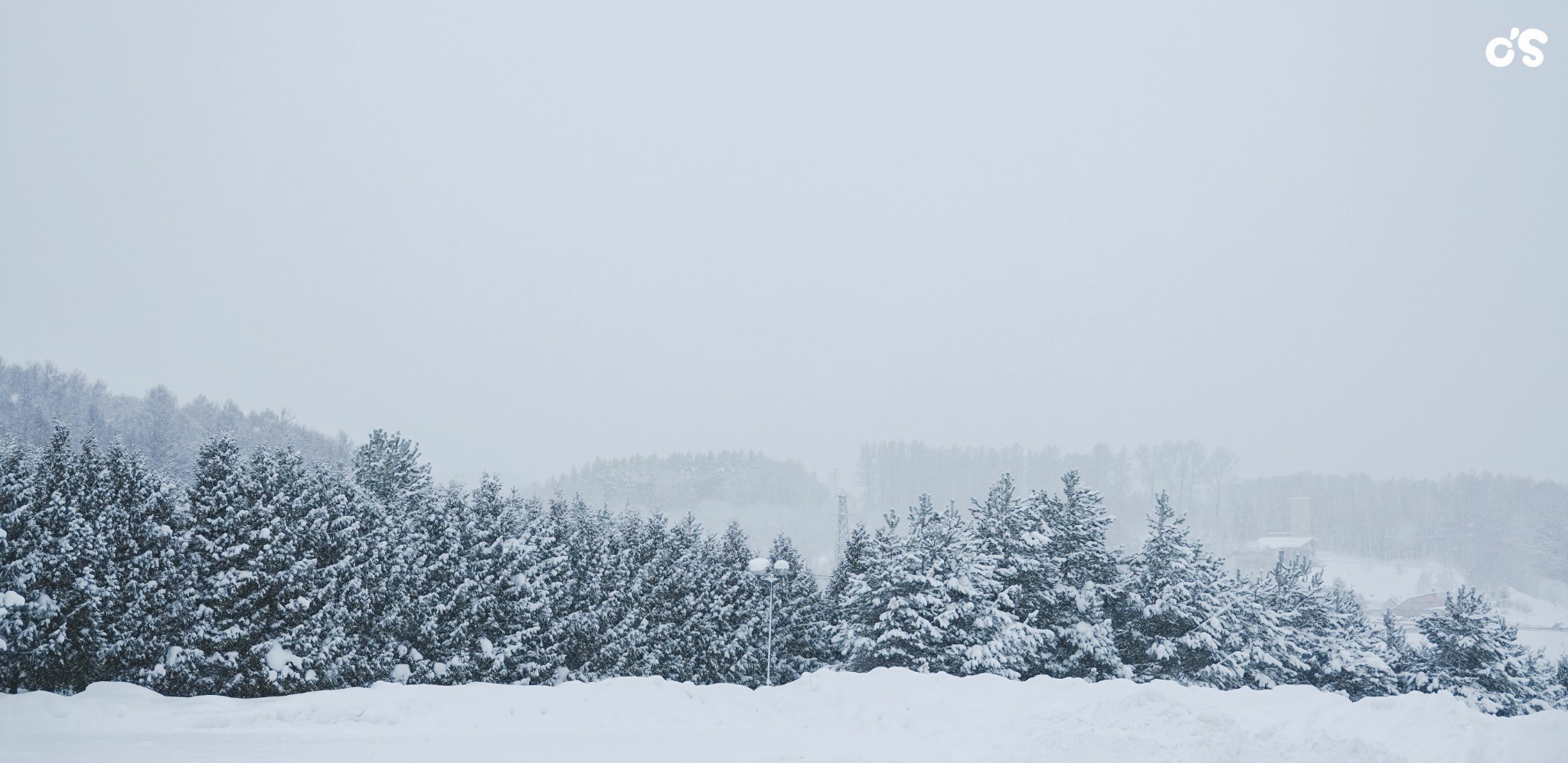 北海道自助遊攻略