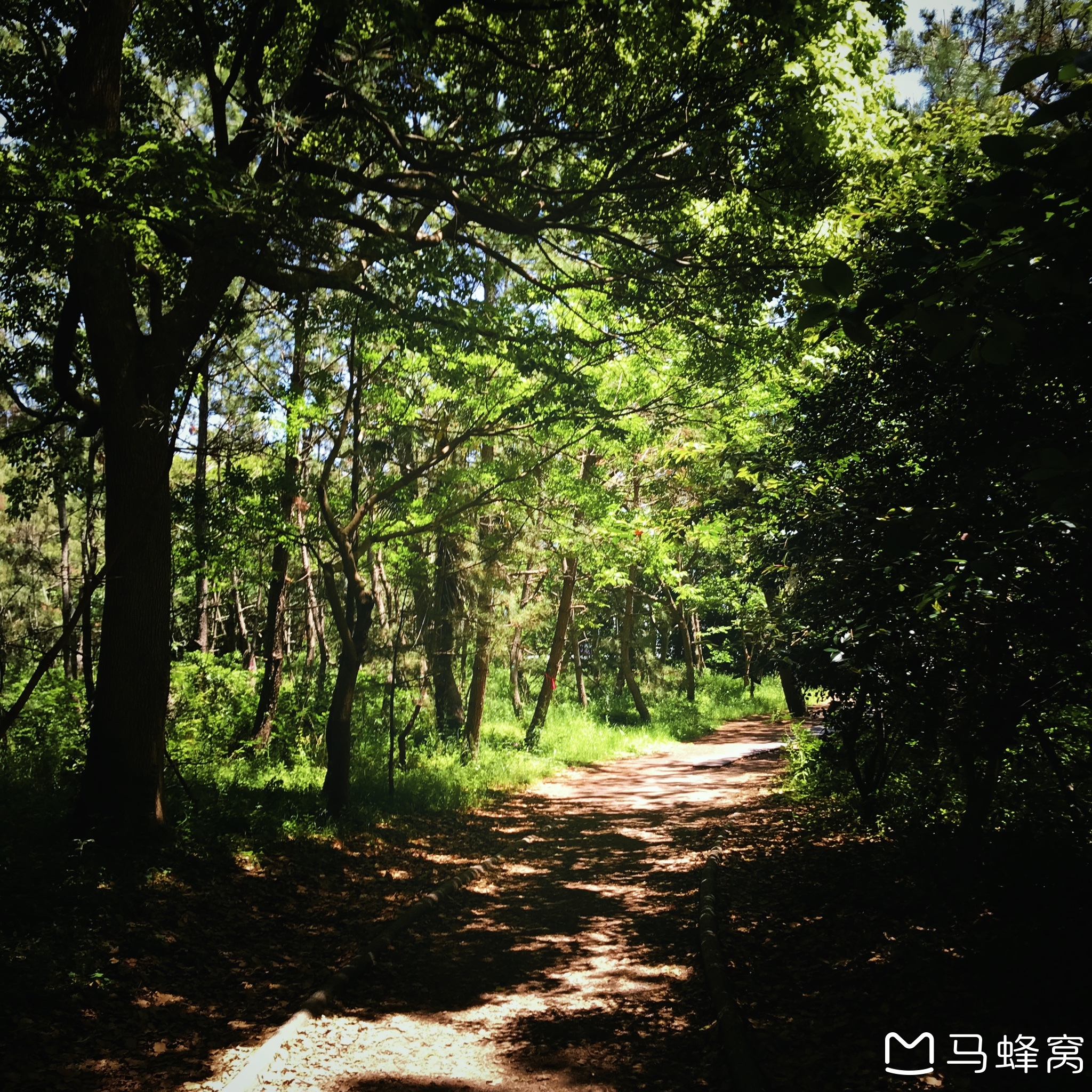 東京自助遊攻略