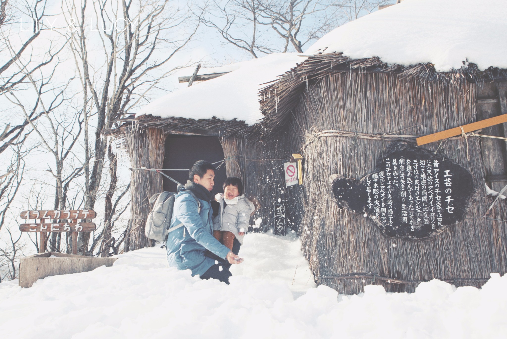 北海道自助遊攻略