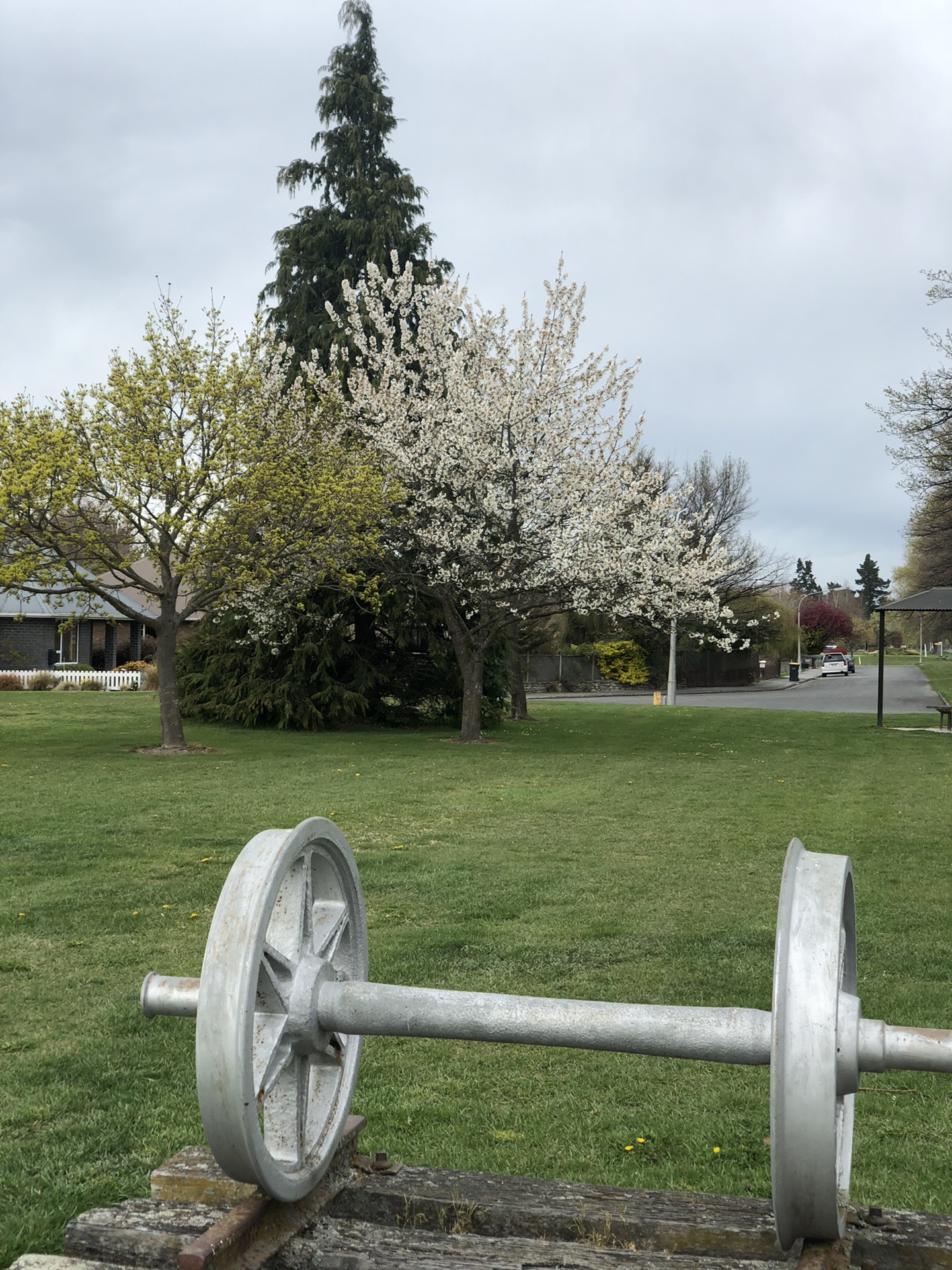 新西蘭自助遊攻略