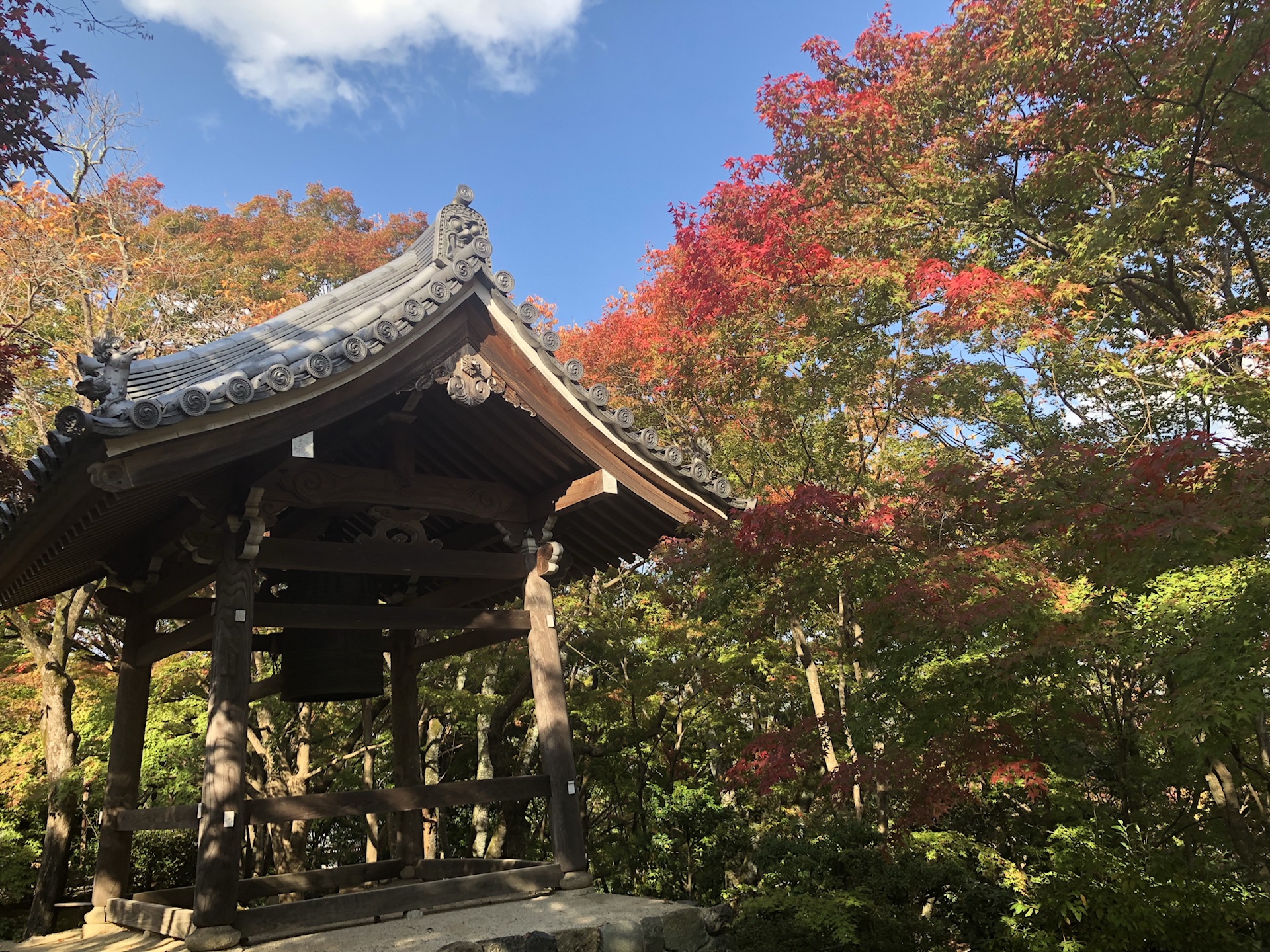 京都自助遊攻略