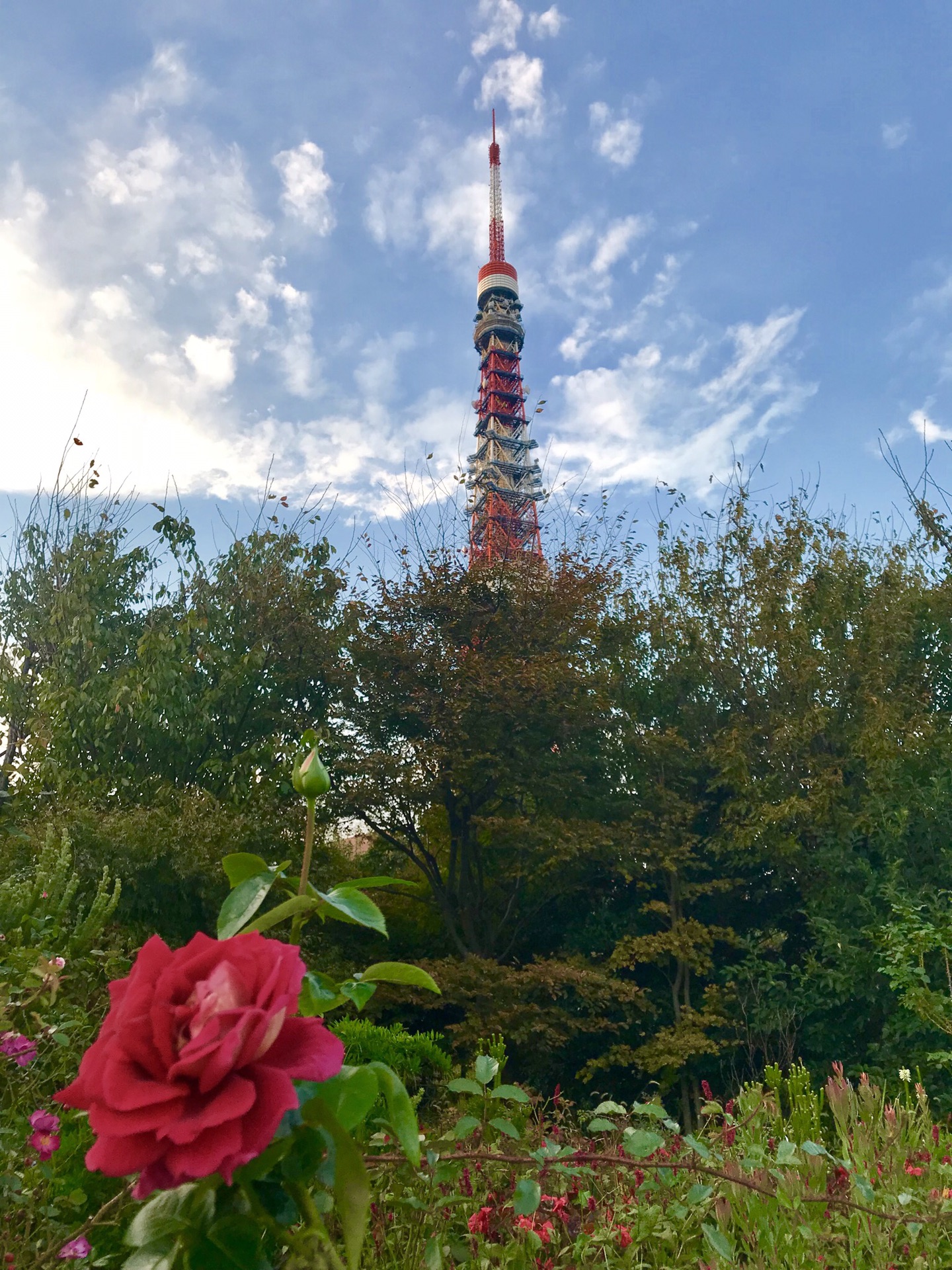 東京自助遊攻略