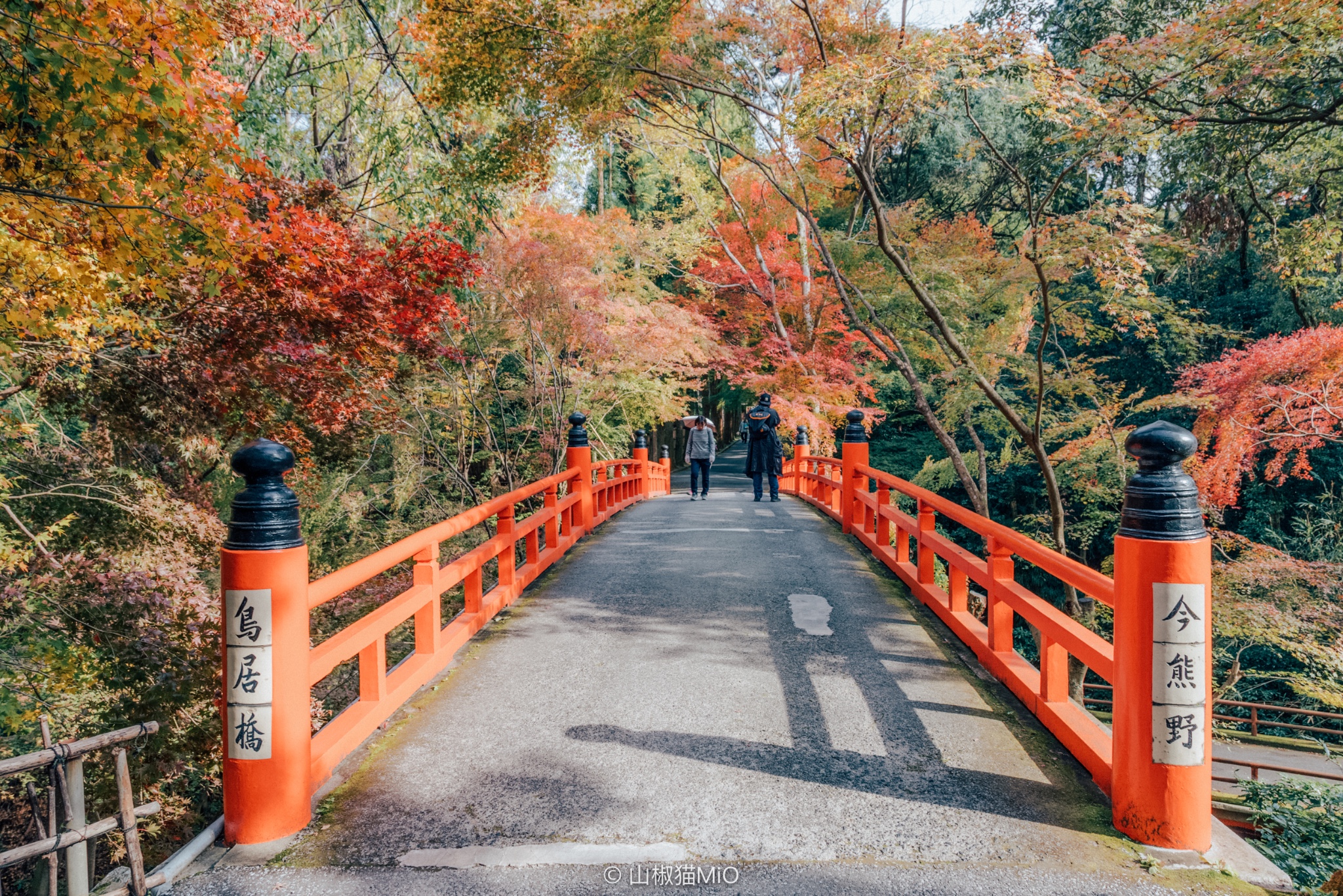 京都自助遊攻略