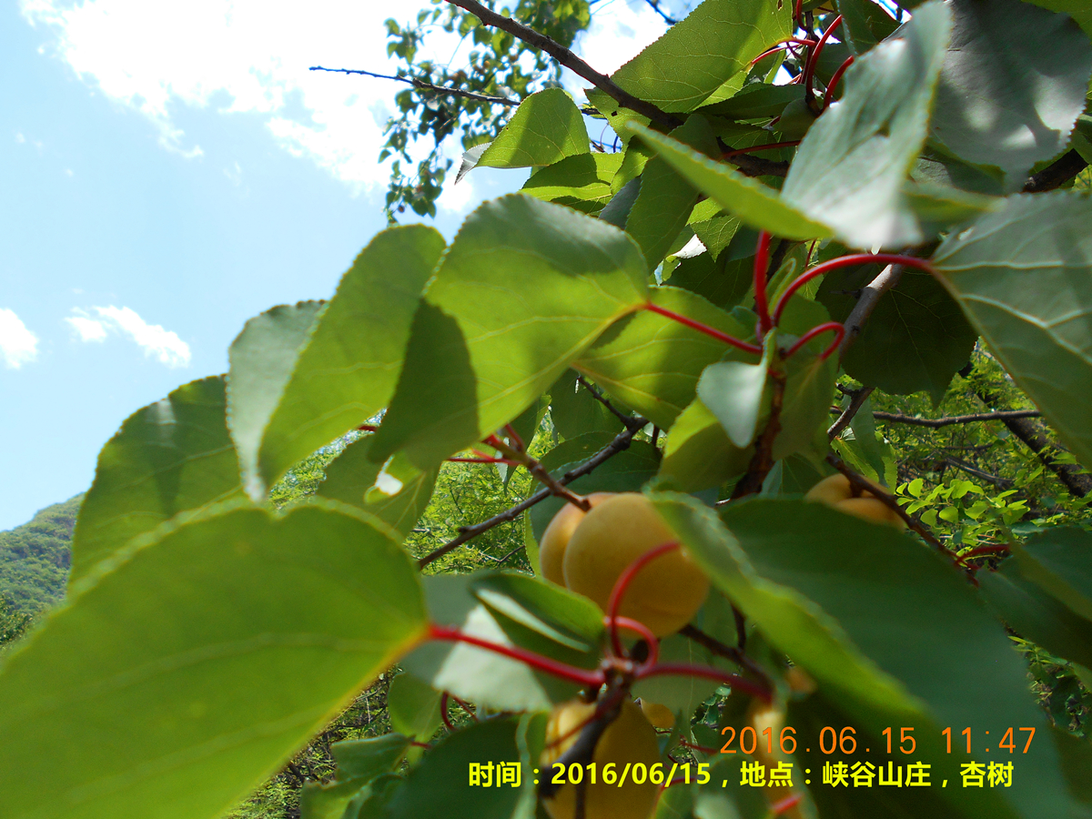 wKgED1vD_byASf76ABa3UO9R9cY03.jpeg?imageView2%2F2%2Fw%2F680%2Fq%2F90%7CimageMogr2%2Fstrip%2Fquality%2F90