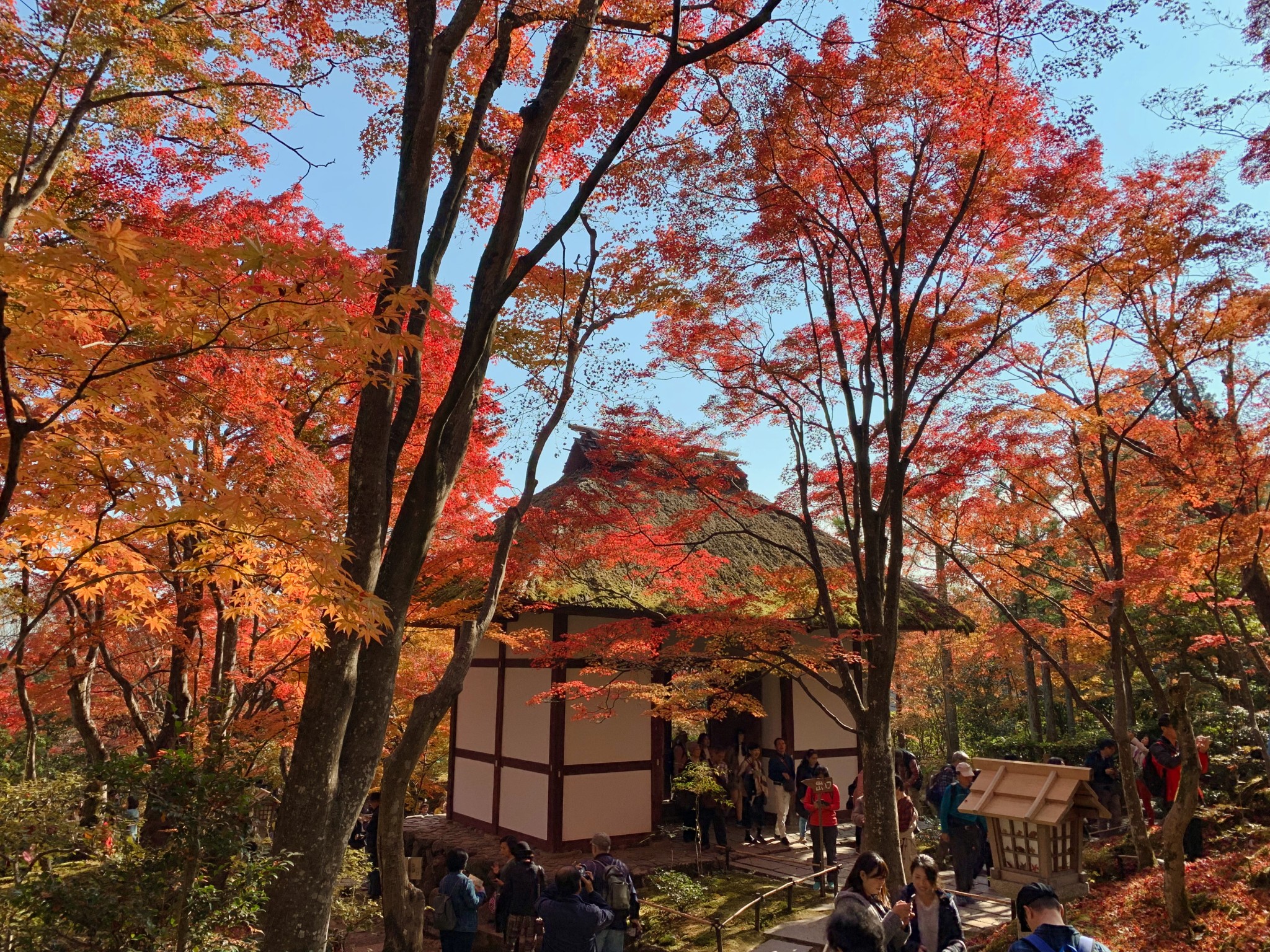 京都自助遊攻略