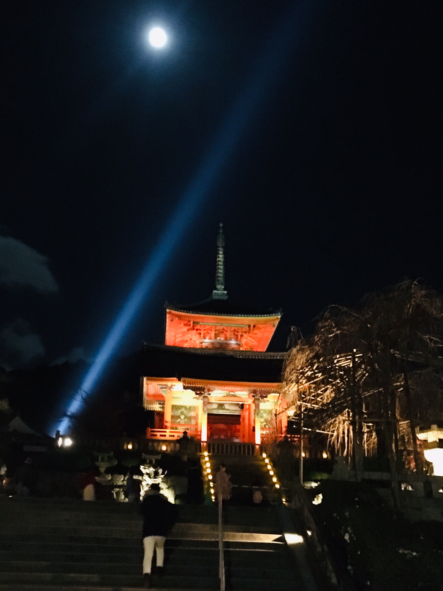 京都自助遊攻略