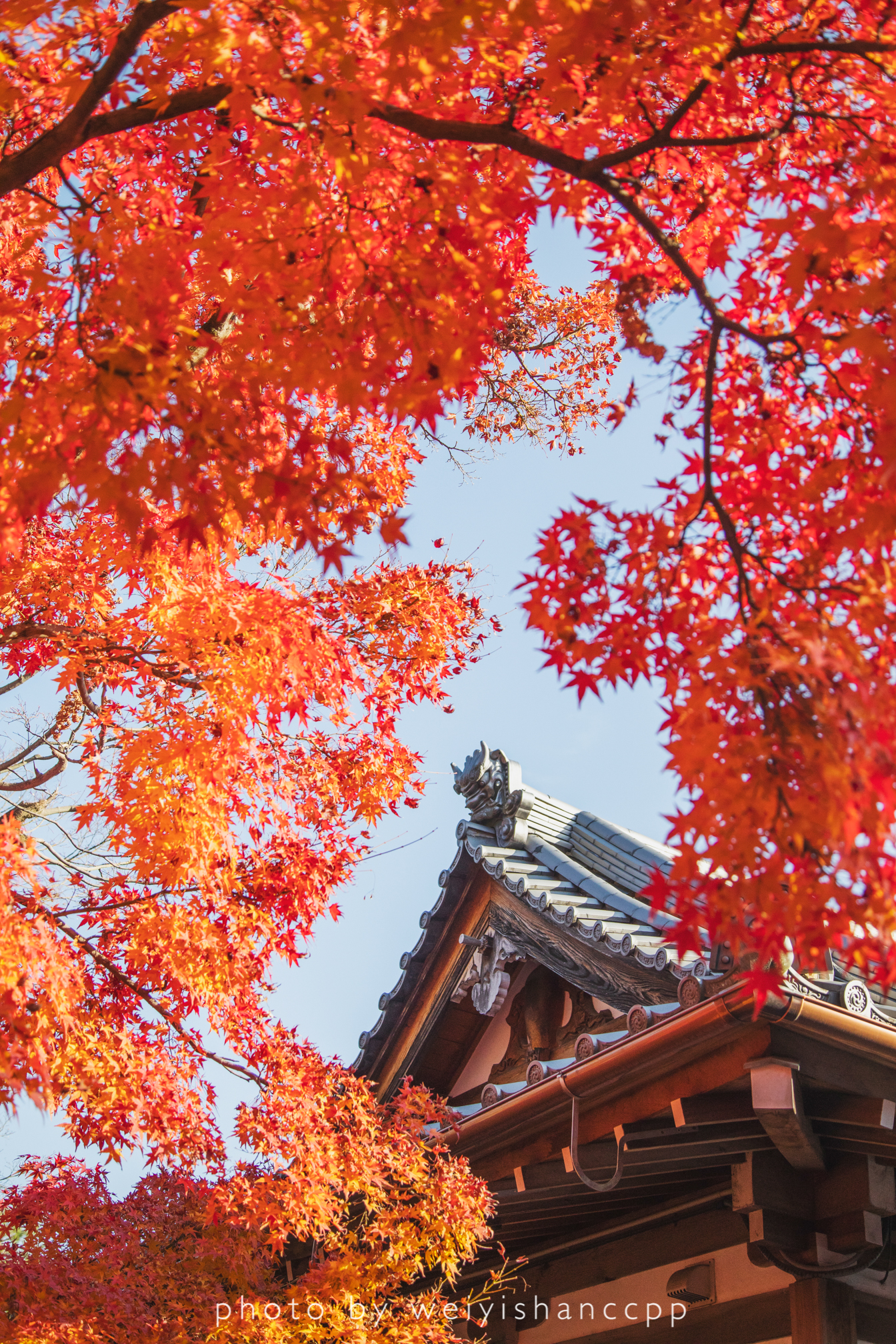 京都自助遊攻略