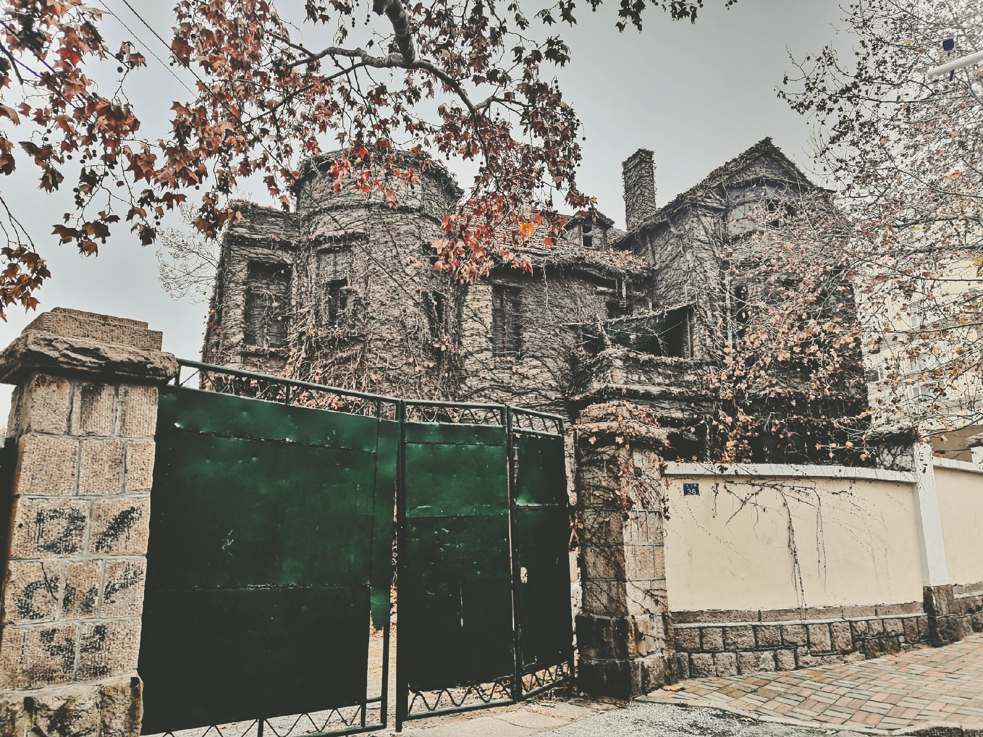 来青岛,您千万别错过这十条最有"青岛味儿"的小路