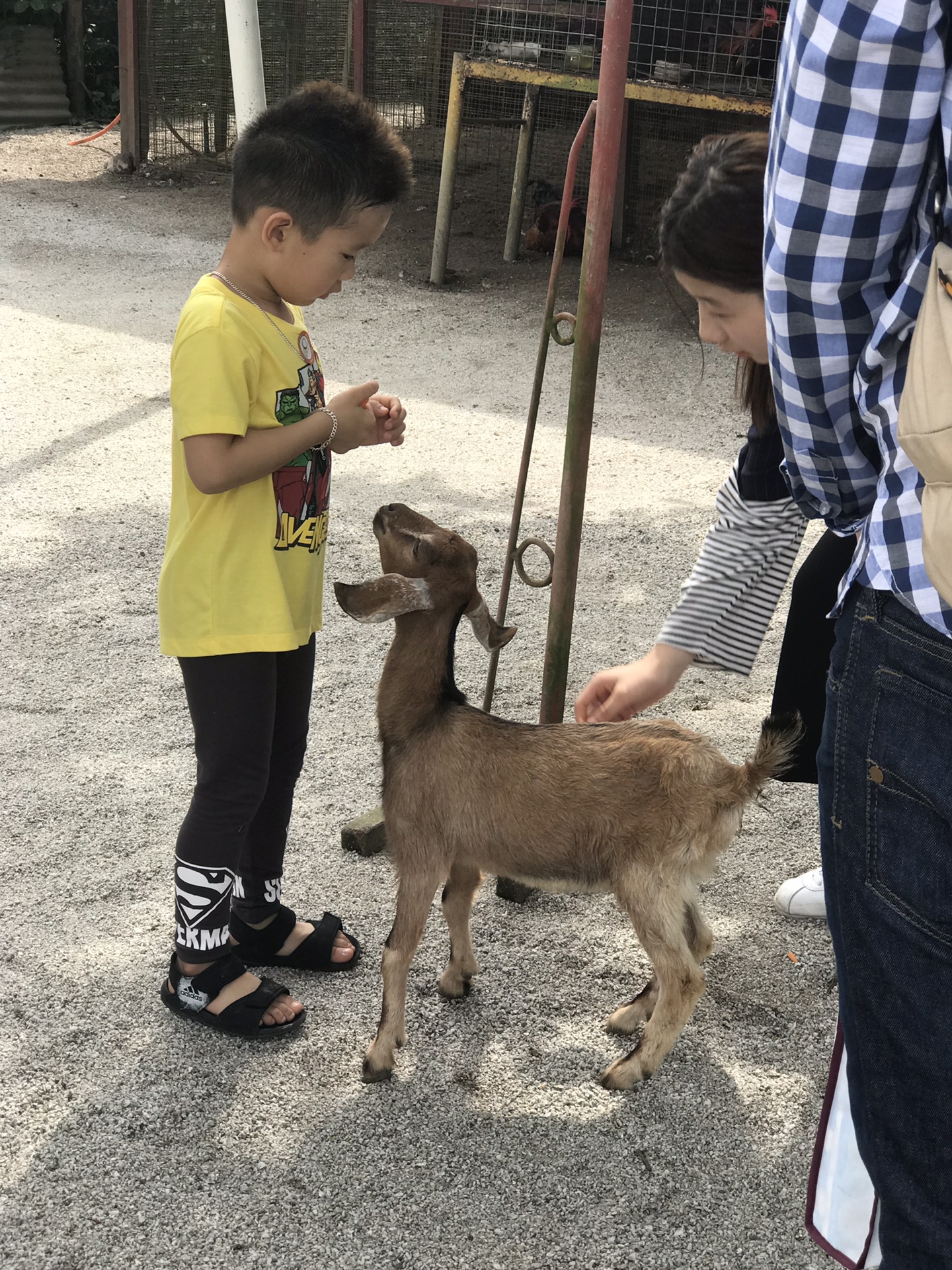 馬來西亞自助遊攻略