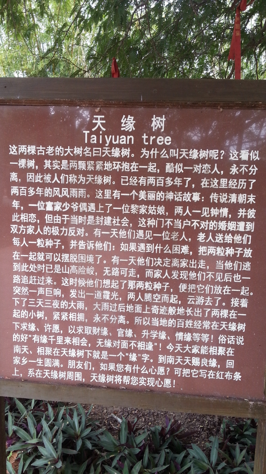 海南自助遊攻略