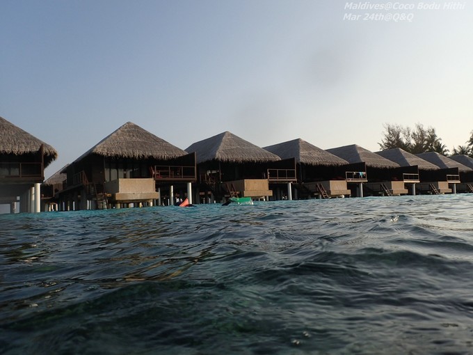 来马尔代夫COCO领略关于蓝色的美学经验