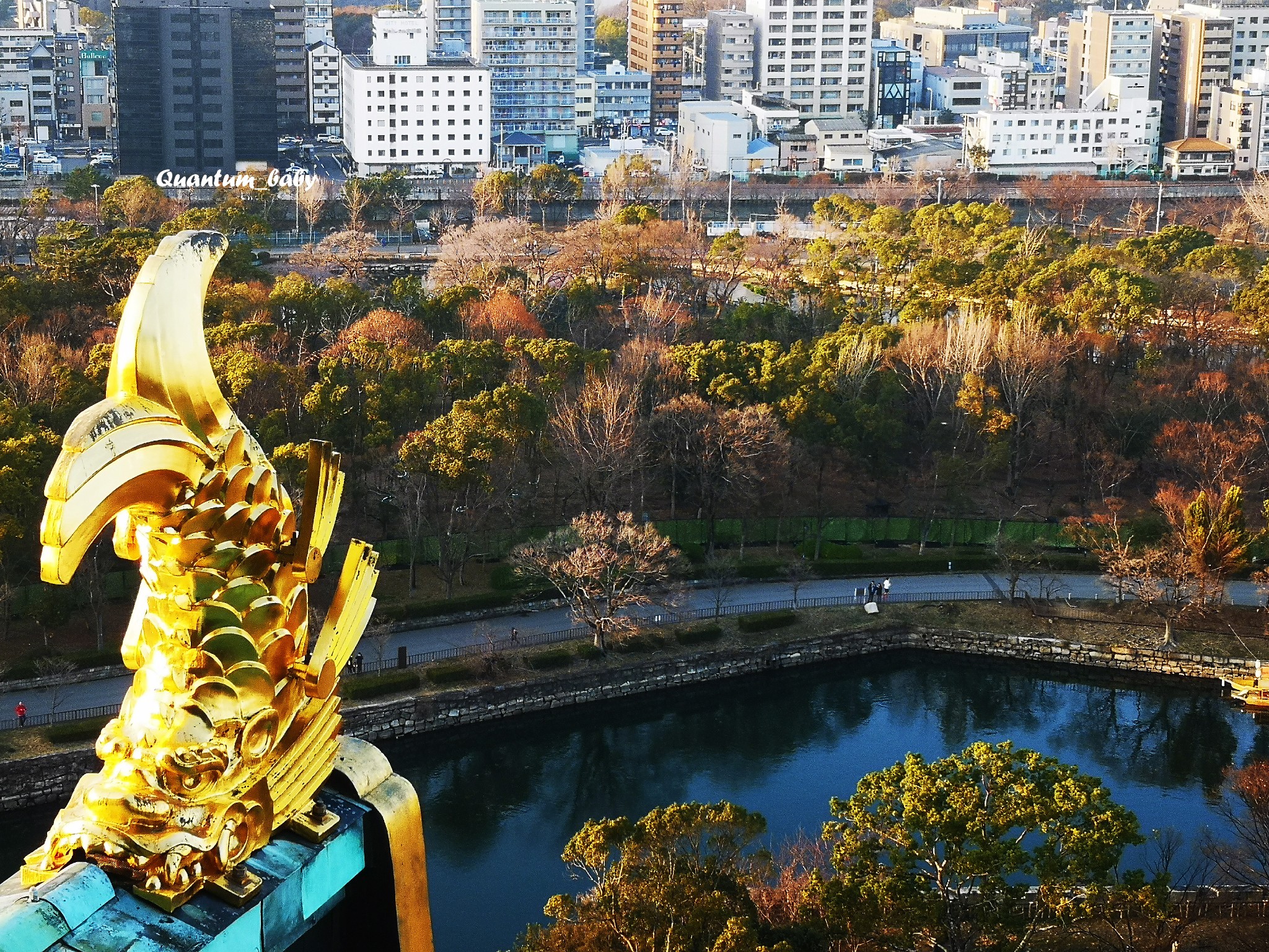 北海道自助遊攻略