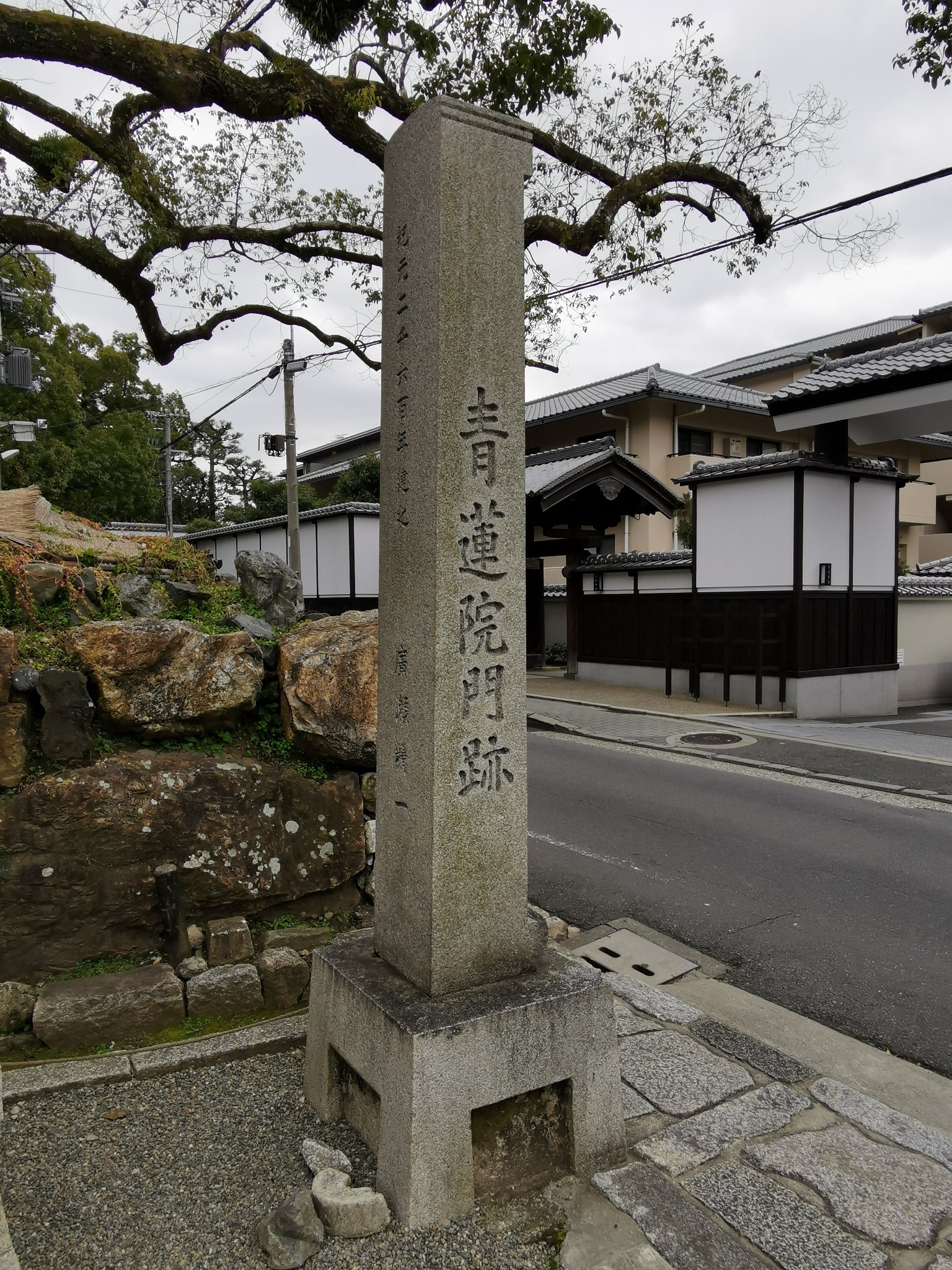 京都自助遊攻略