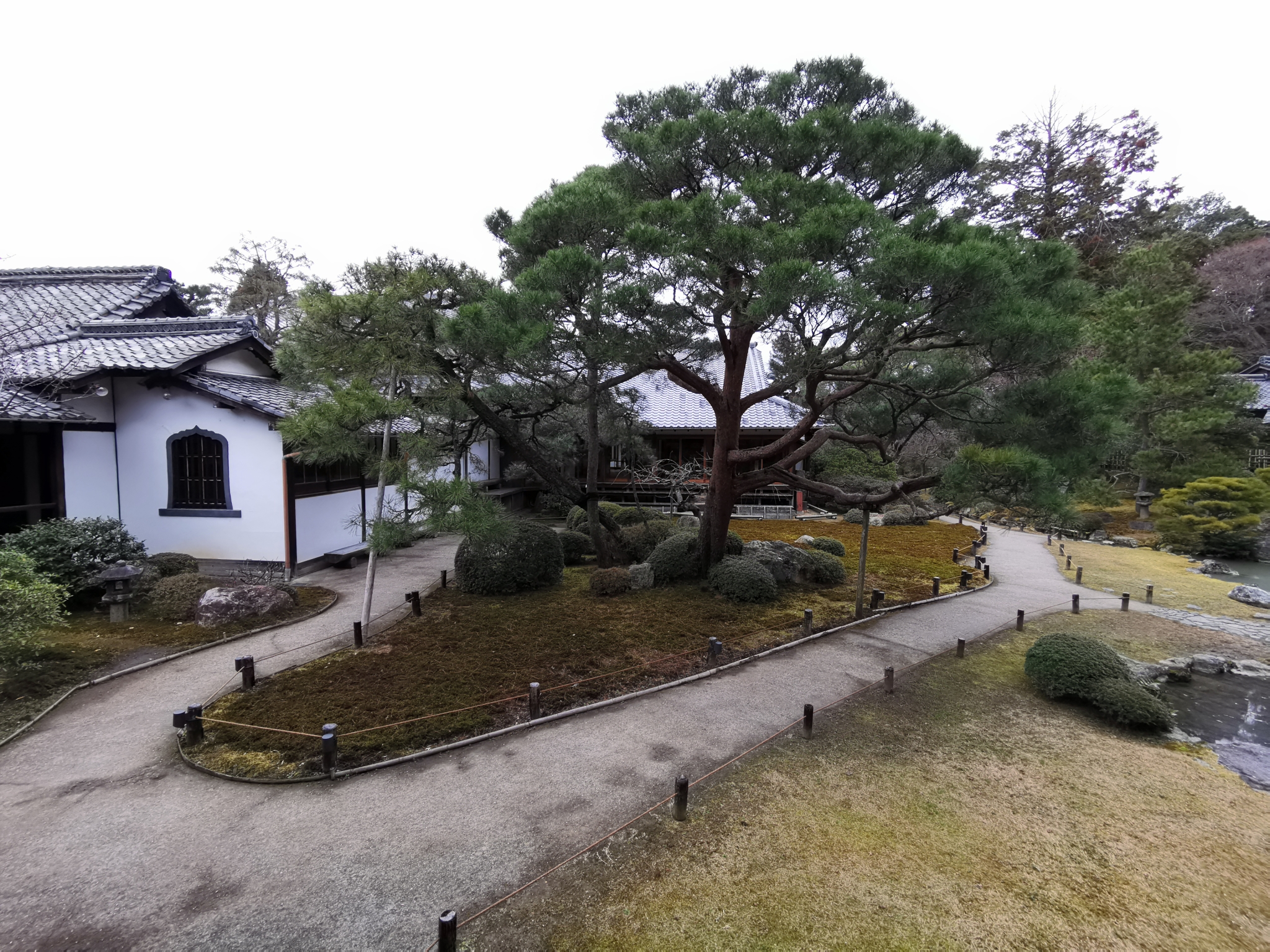 京都自助遊攻略