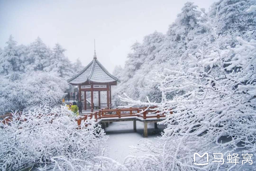 峨眉山乐山二日游