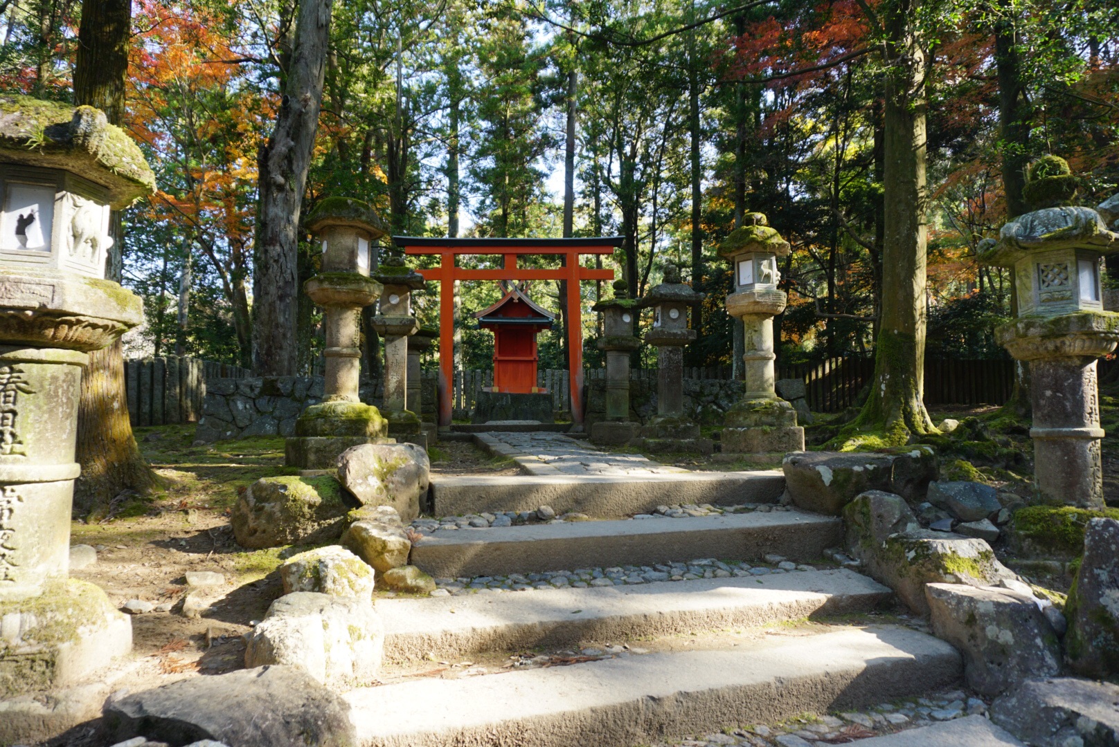 京都自助遊攻略